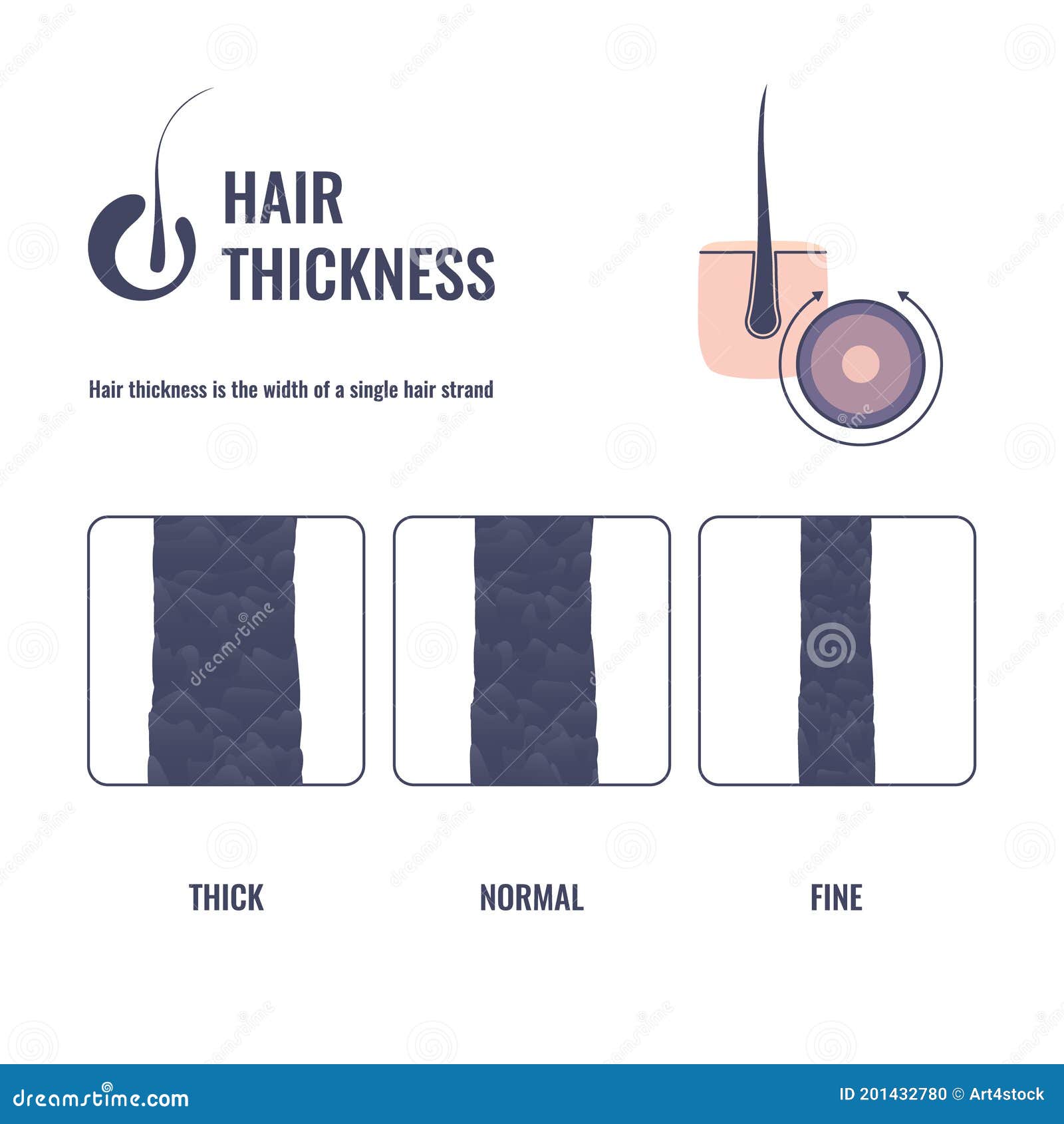 Causes of Thin Hair  How To Treat It  Sitting Pretty