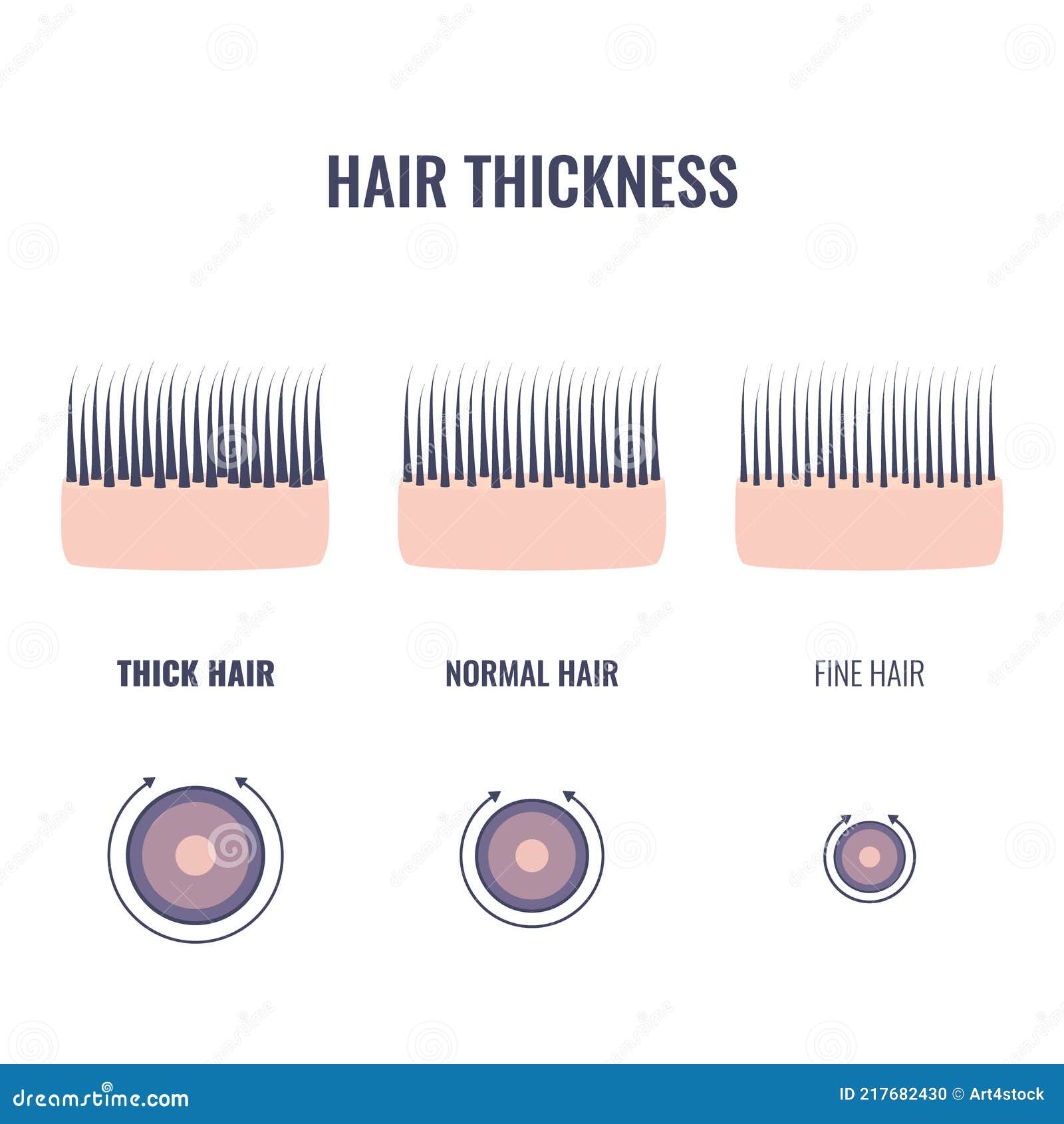 hair thickness types chart of thin, medium and coarse strands