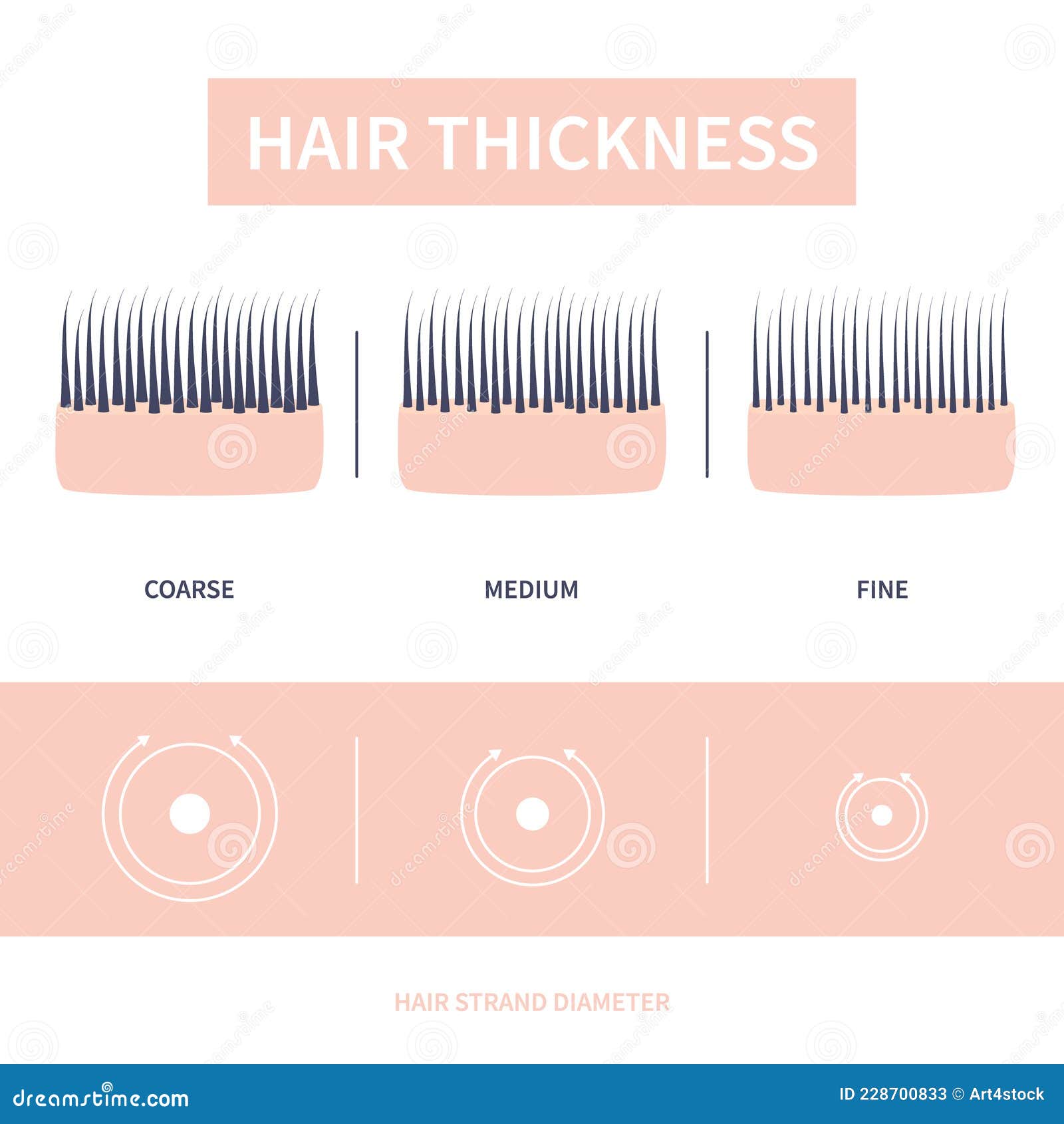 Hair Thickness Types Chart of Thin, Medium, Coarse Strand Width Stock  Vector - Illustration of density, collagen: 228700833