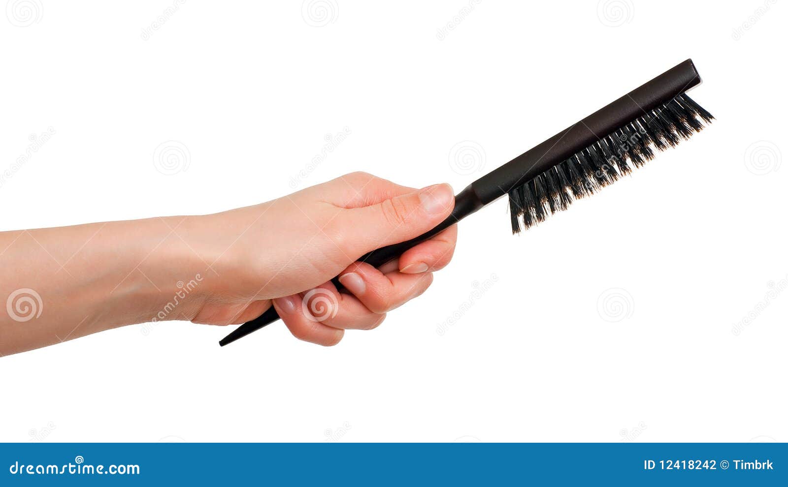 hairbrush with bristle