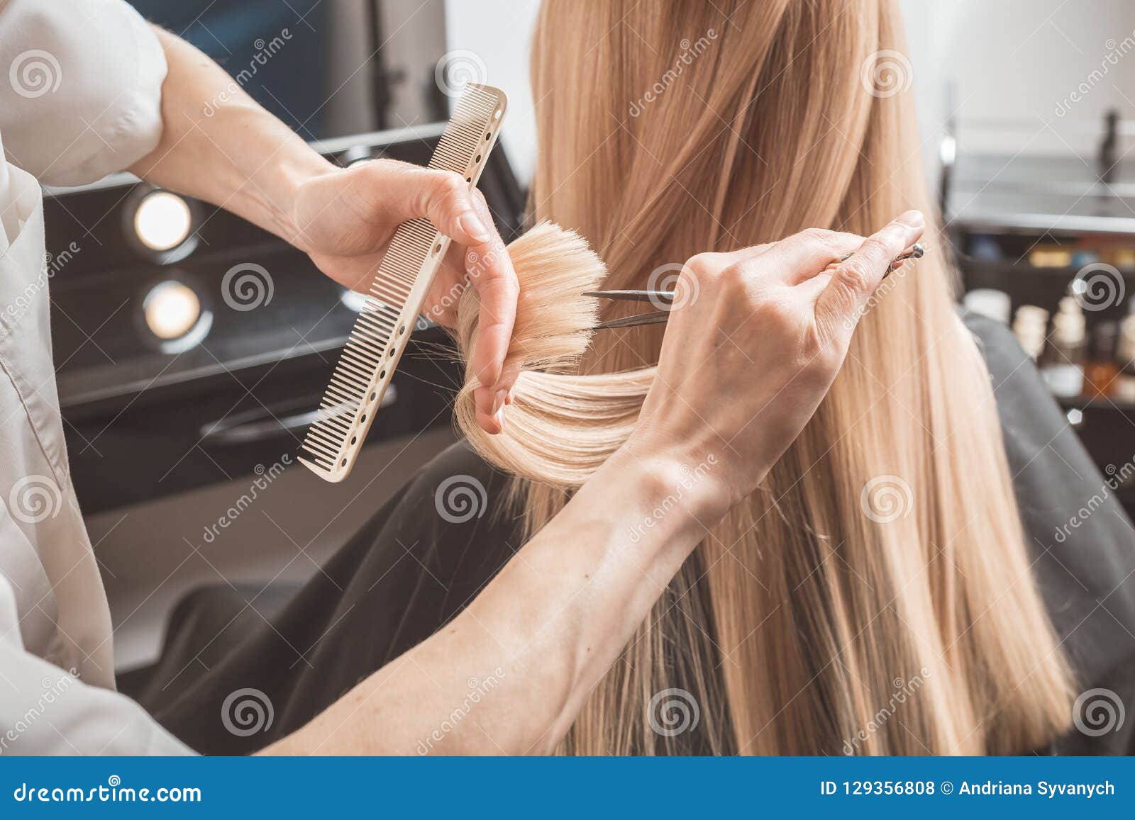 Hairdresser is Cutting Long Hair in Hair Salon Stock Photo - Image of  client, close: 129356808