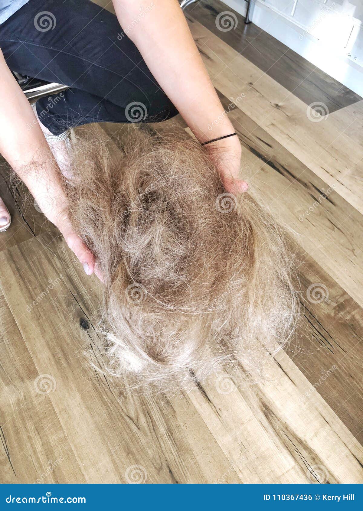 Hairdresser Holding Cut Hair On Salon Floor Stock Photo Image Of