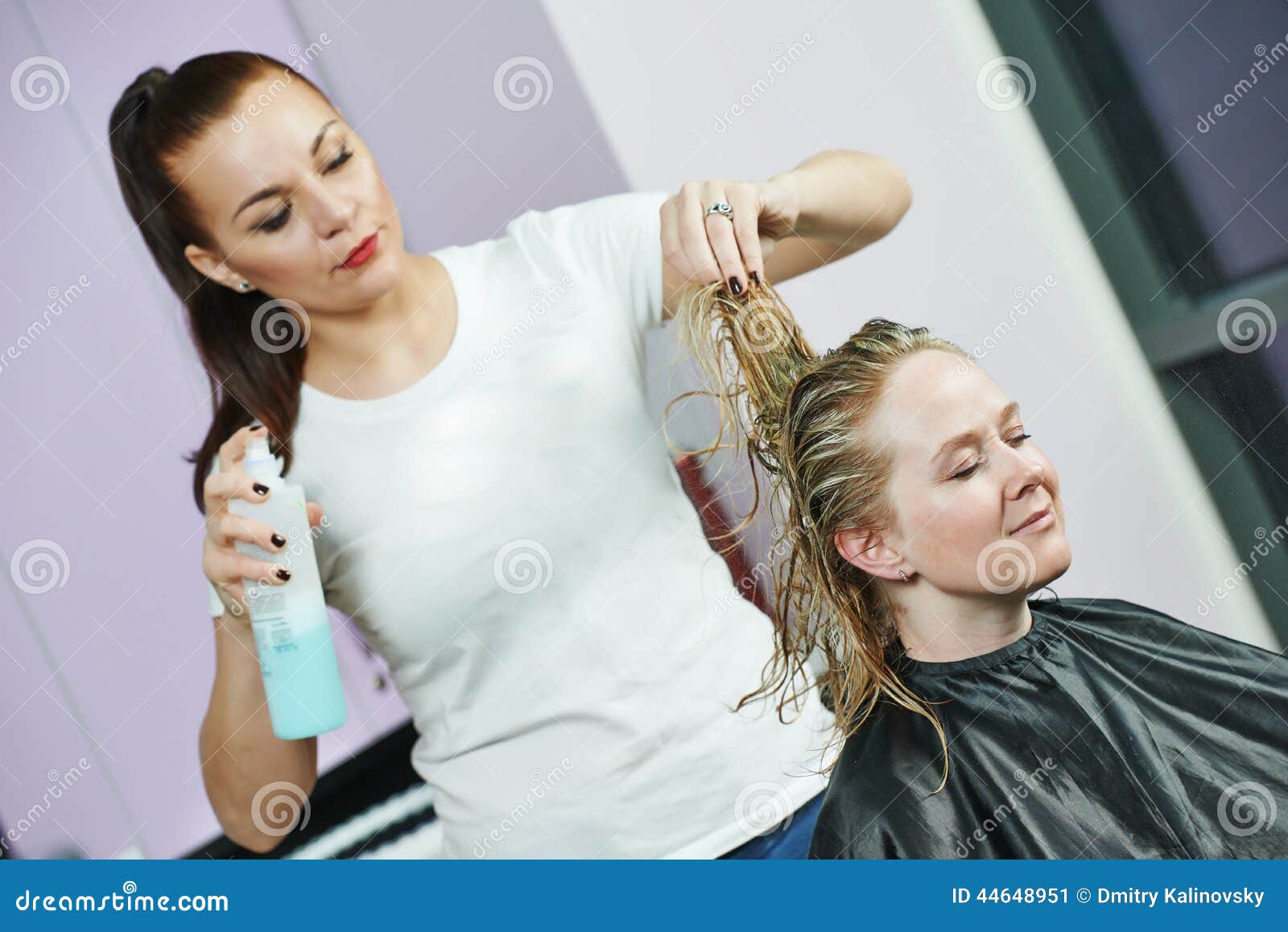 Hairdresser at Work. Styling Hair Stock Image - Image of haircut, business:  44648951