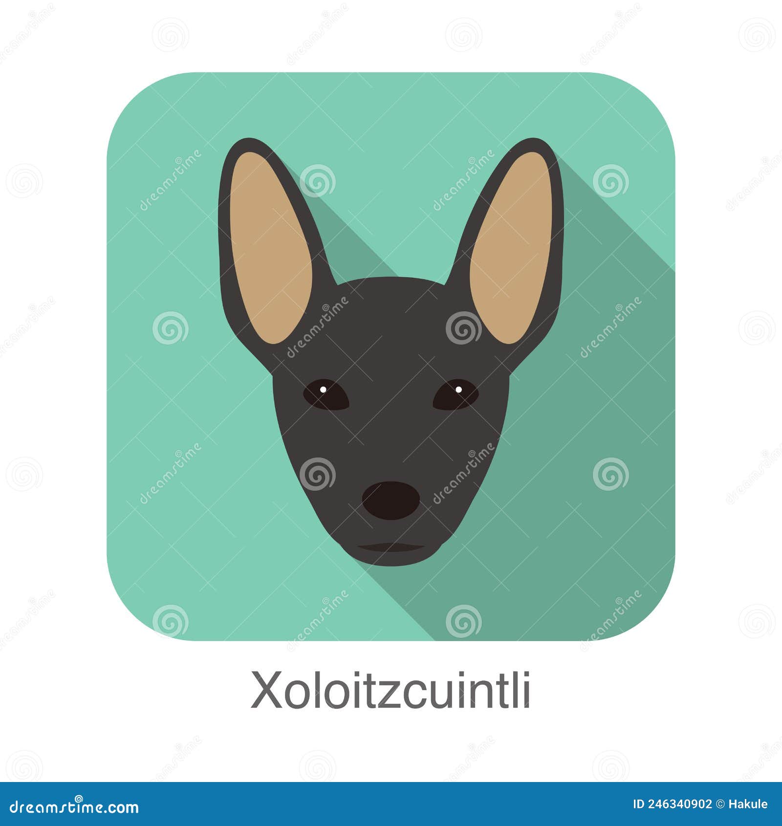 Hairless Dog Xoloitzcuintli Face, Vector Illustration Stock Vector