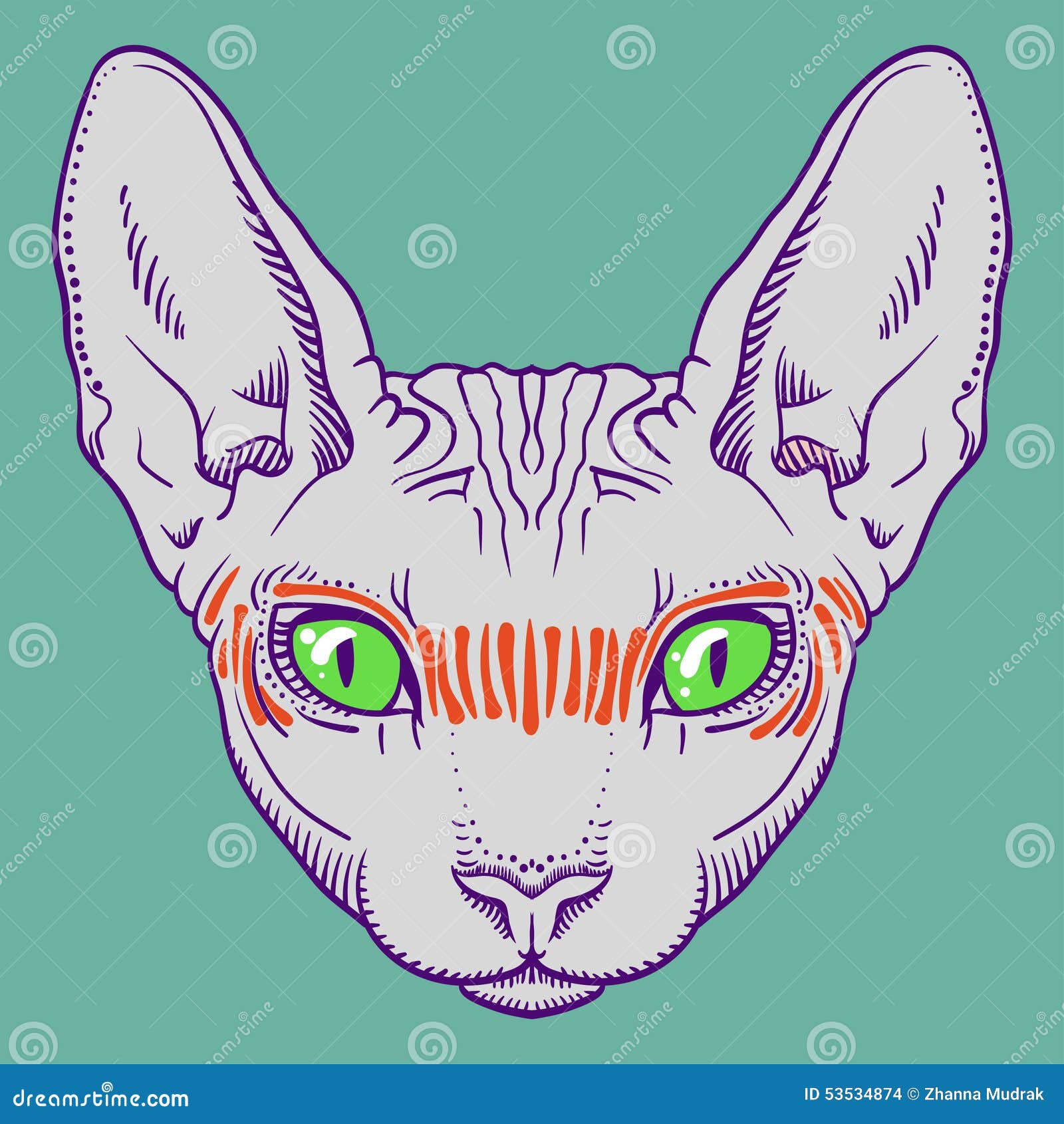 Hairless Sphinx Cat Face Graphics, Outline Stock Vector Illustration