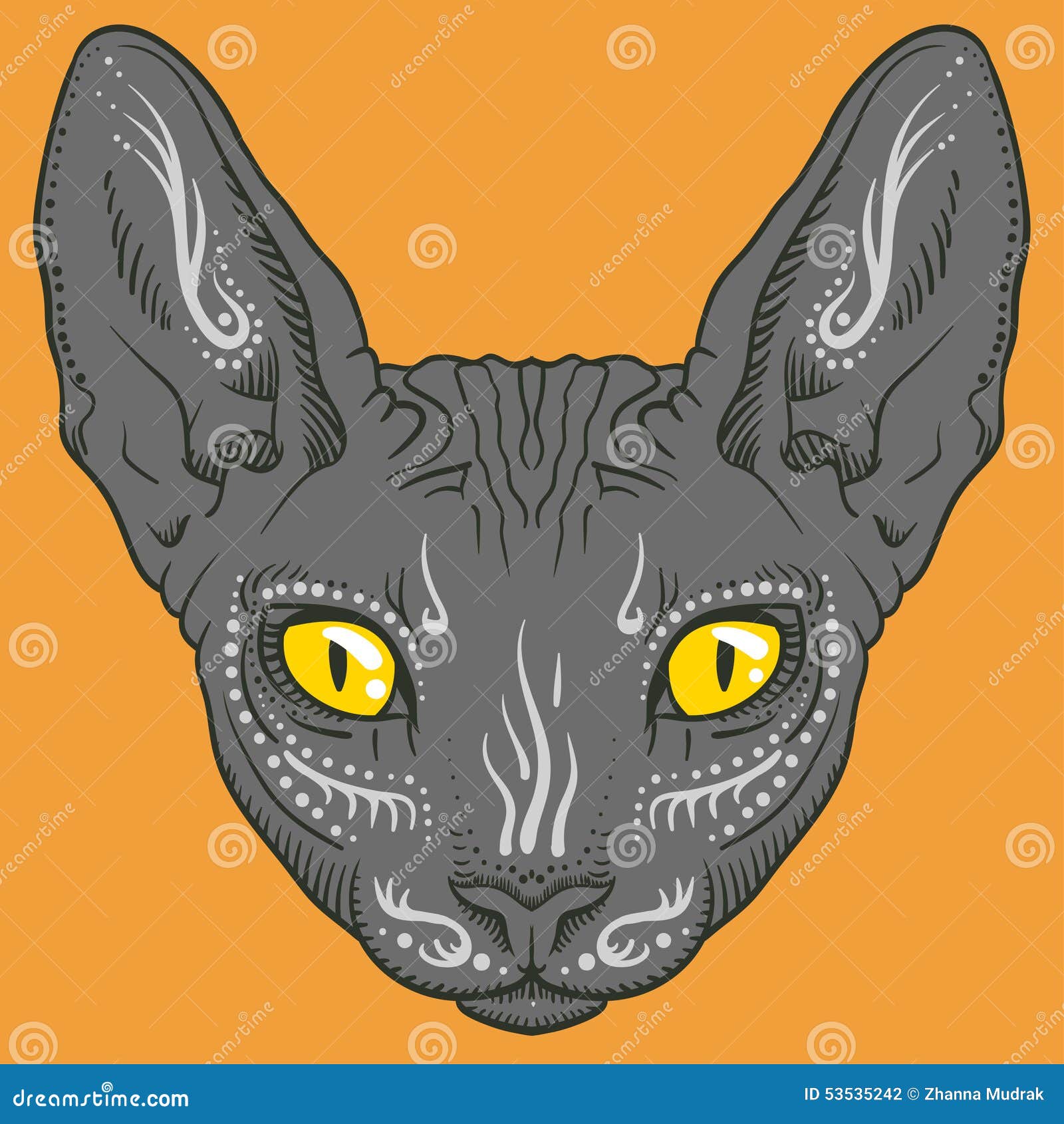 Hairless Sphinx Cat Face Graphics, Outline Stock Vector Illustration