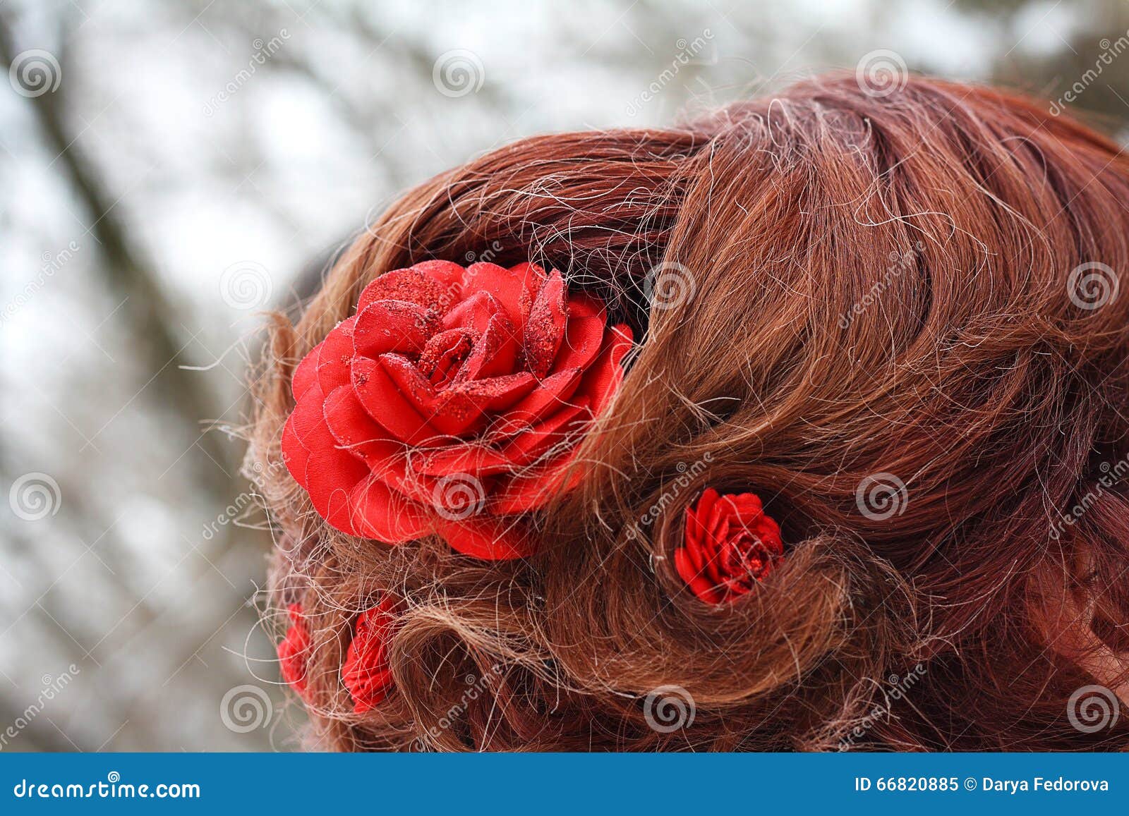Hairstyle red roses stock image. Image of wedding, woman 66820885