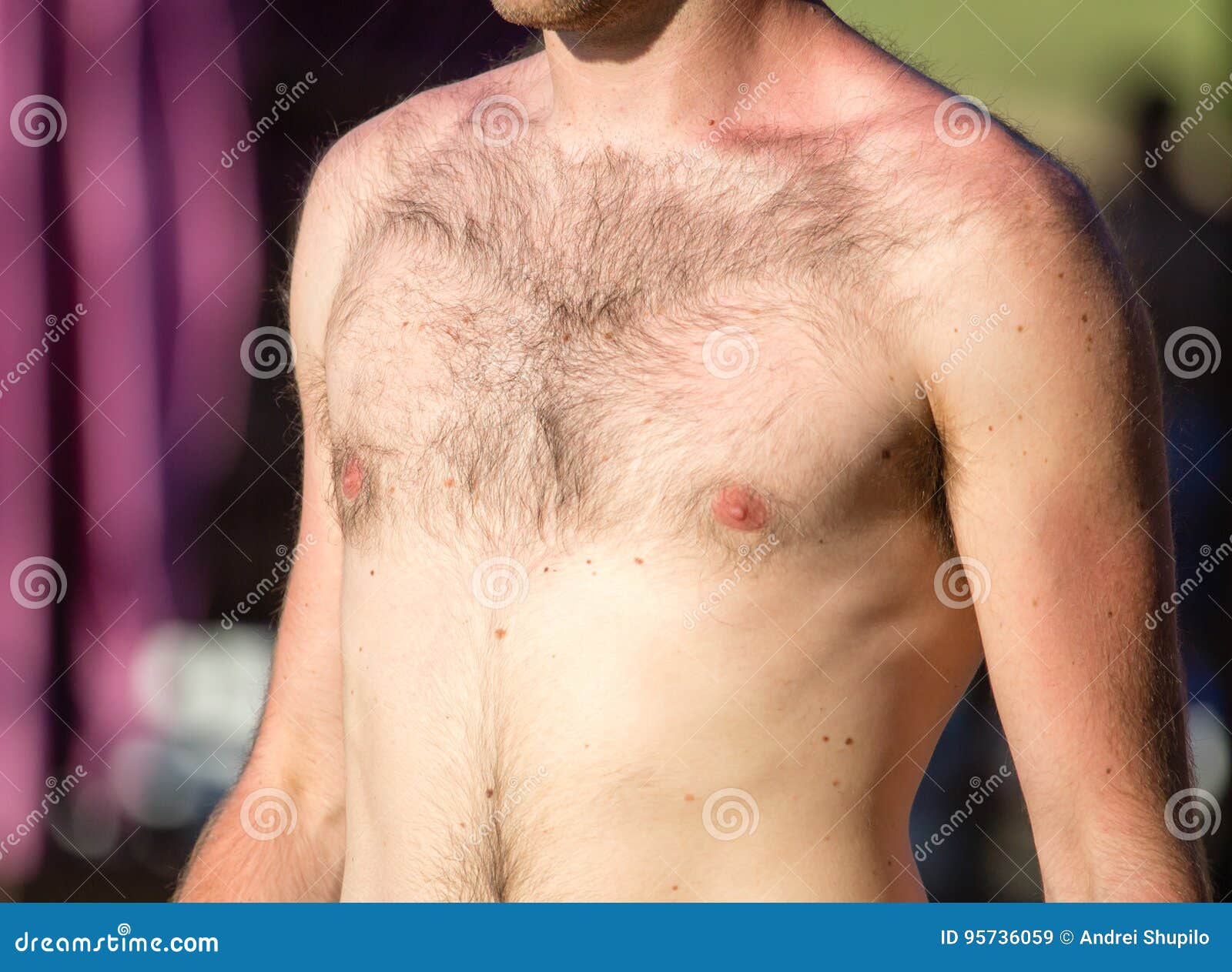 460+ Hairy Chested Young Men Stock Photos, Pictures &