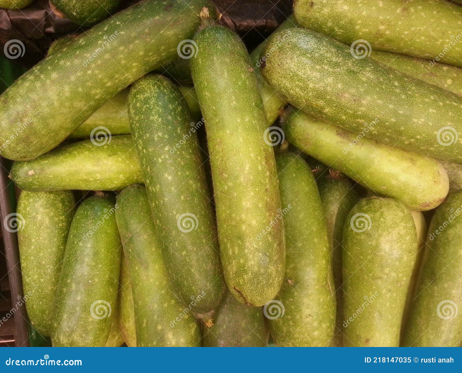 but this hairy or cit kwa is a cucumber vegetable which with various recipes like other cucumbers also has many benefits