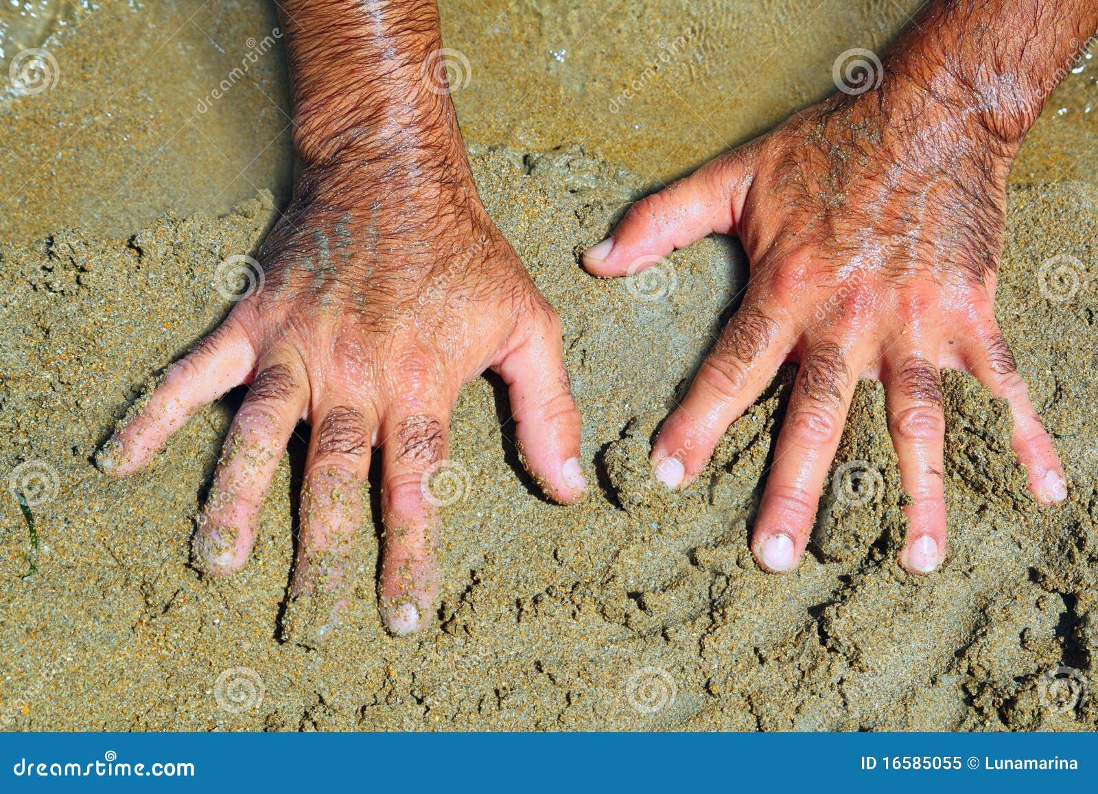 Hairy Man Hands on Beach Sand in Sunny Summer Stock Image Image of