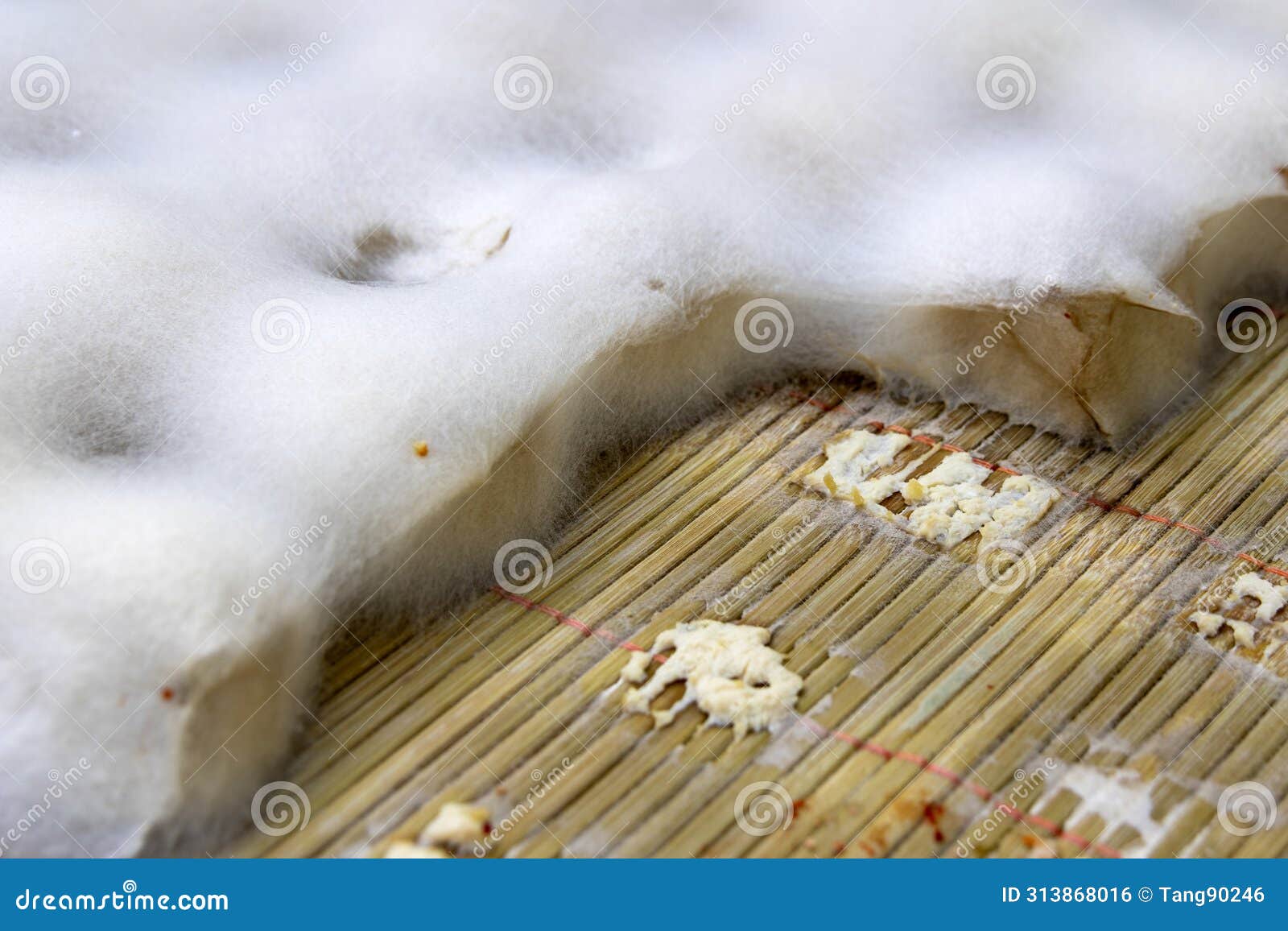 Hairy tofu in China stock photo. Image of fermented - 313868016