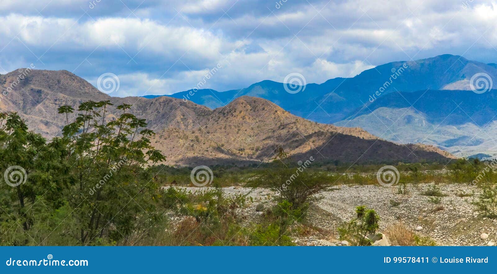 Haiti  Beyond Mountains Coffee