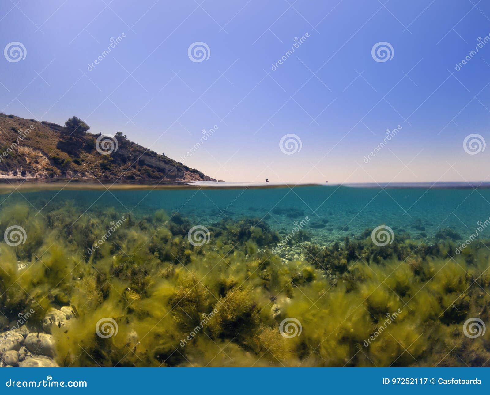 Halb Unter Wasser Im Meer Stockbild Bild Von Wasser