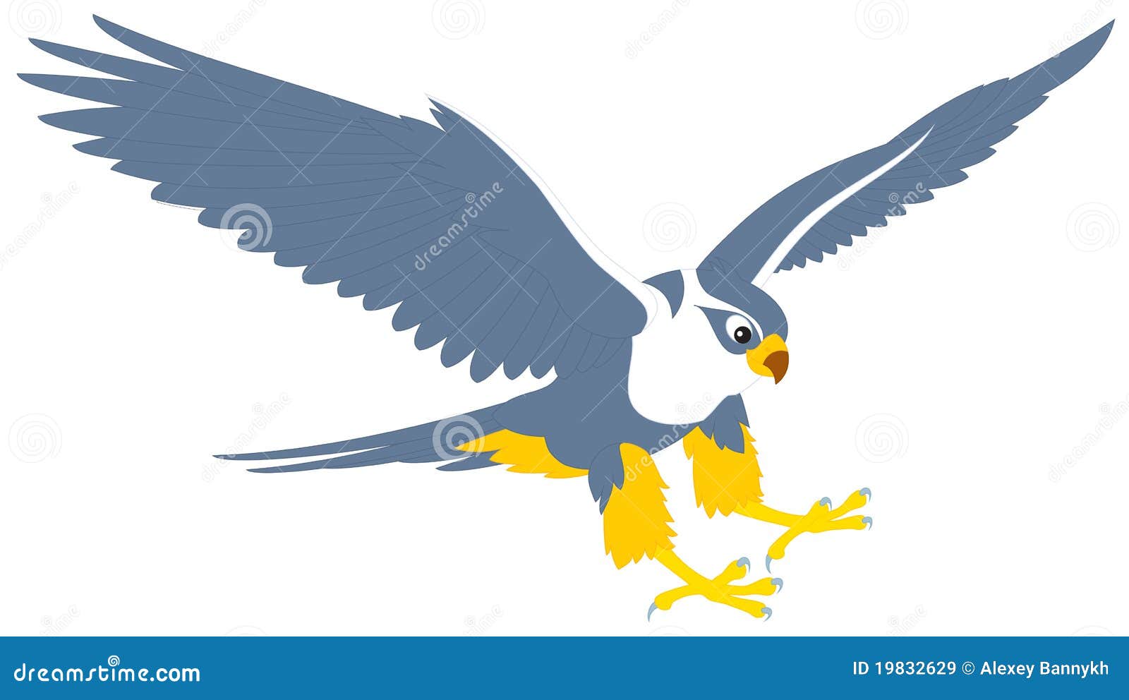 A Preliminary Hausa Bird Lexicon - StudioBlip.com, image size:1600x992