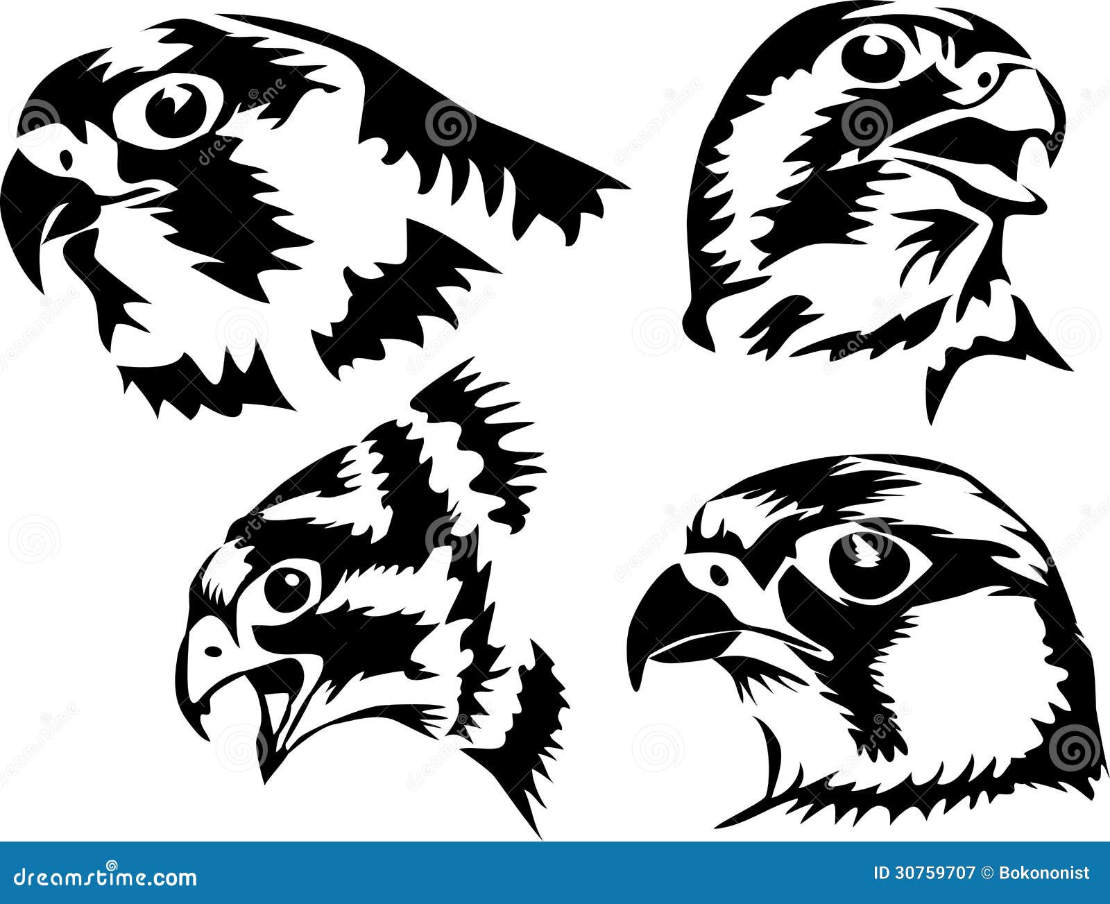 Halcón ilustración del vector. Ilustración de retrato - 30759707, image size:1600x1303