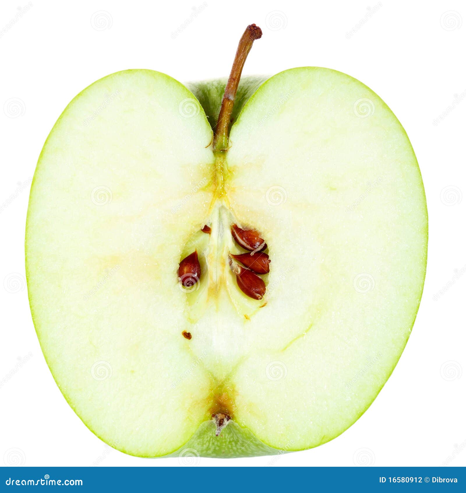 Half of Apple stock photo. Image of fruit, organic, fresh 16580912