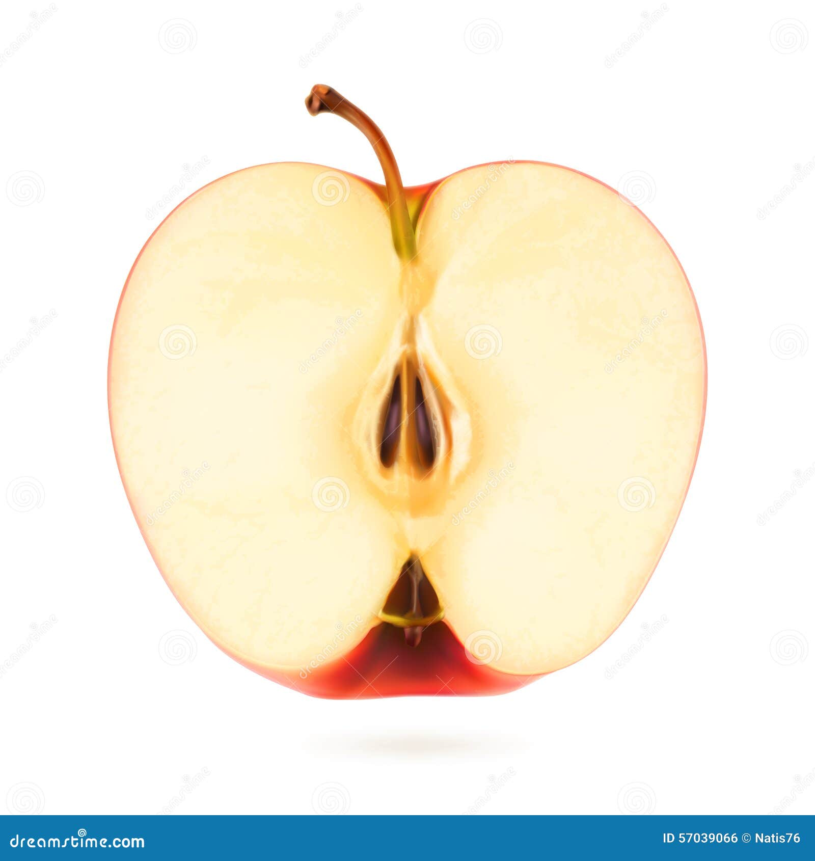 apple half clipart - photo #26