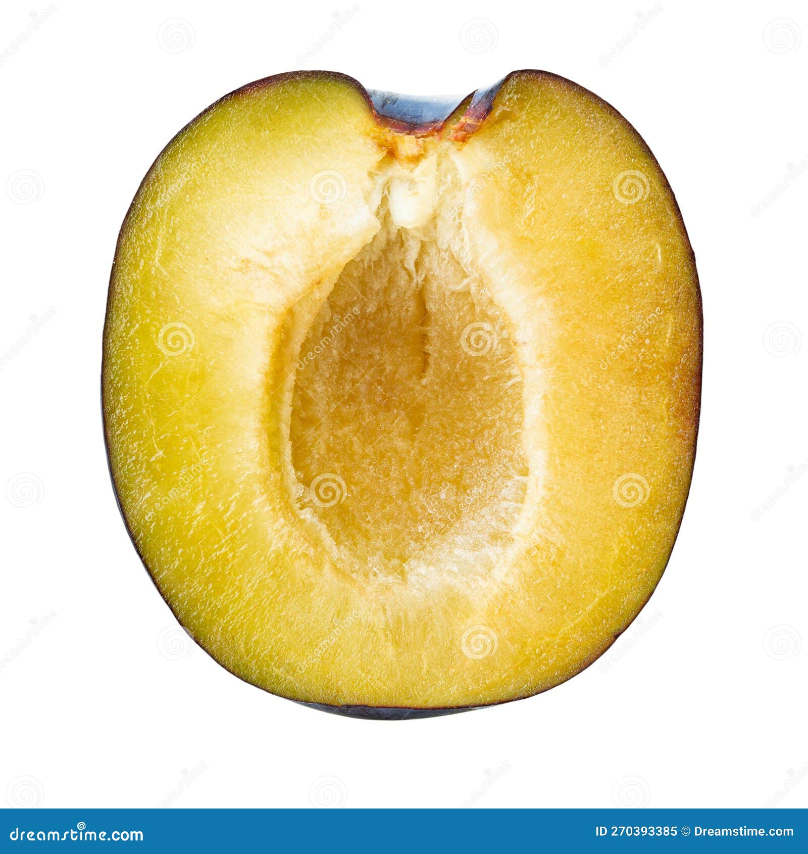 Half of Blue Plum Isolated on White Background. Package Design Element