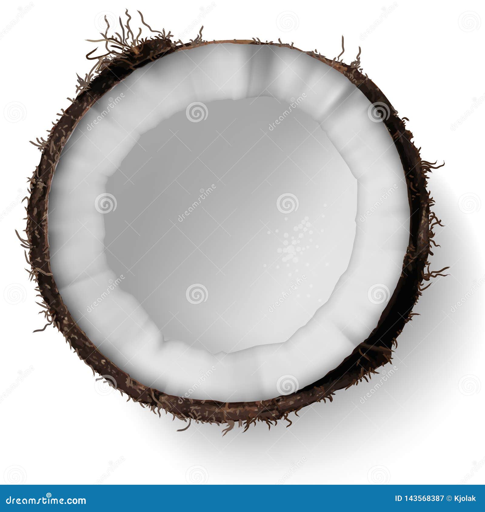 Half a Coconut on a White Background. 3D Vector. High Detailed