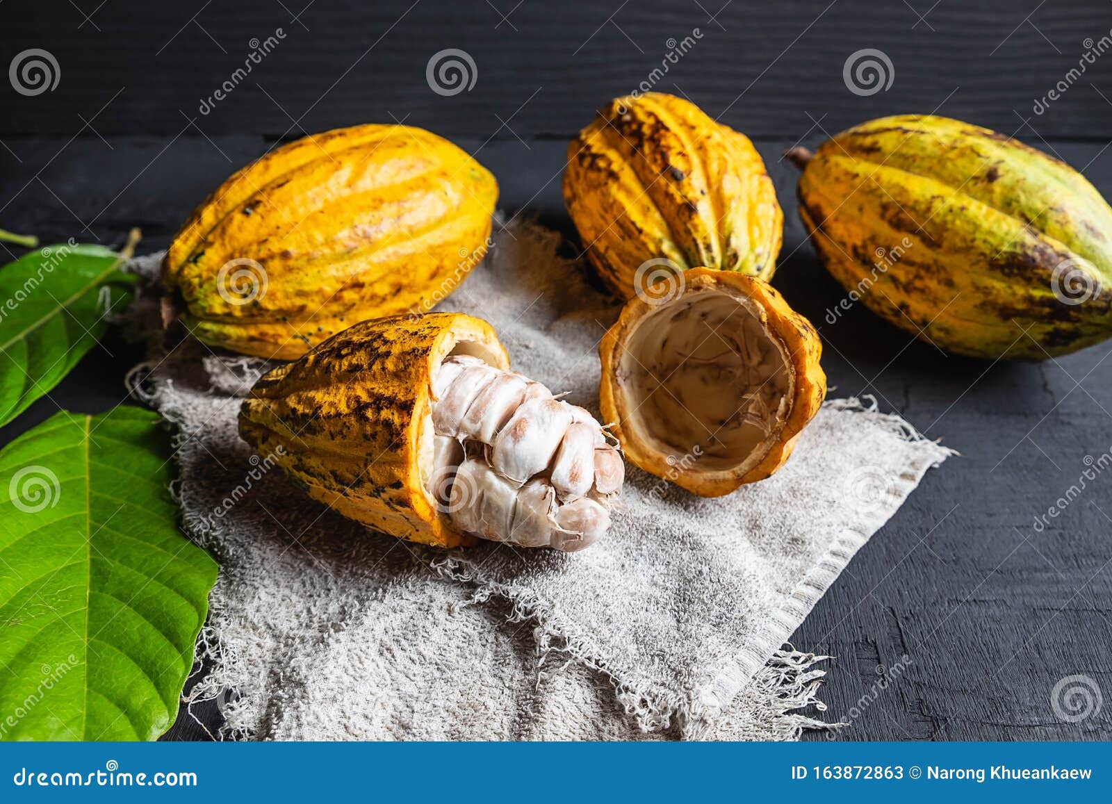 .a Half Cut Cocoa Fruit Close Up Stock Image Image of beans, cacao