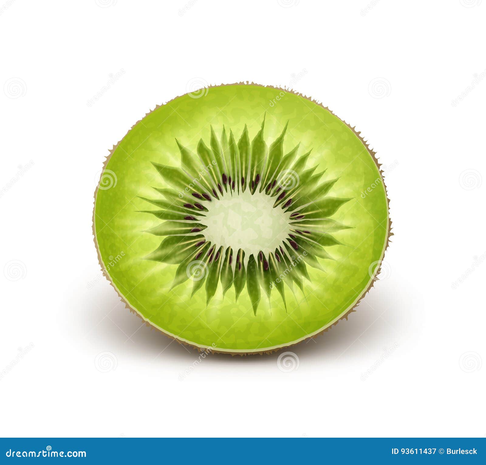 Cut Green Kiwi