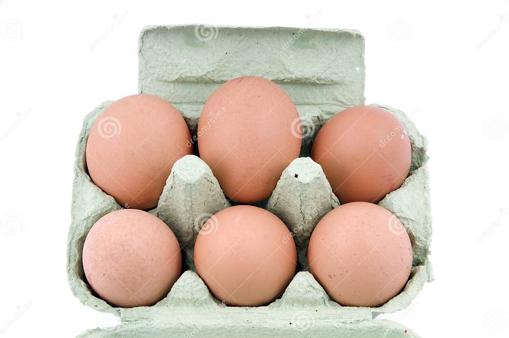 Half dozen eggs stock photo. Image of shot, cholesterol 7297932