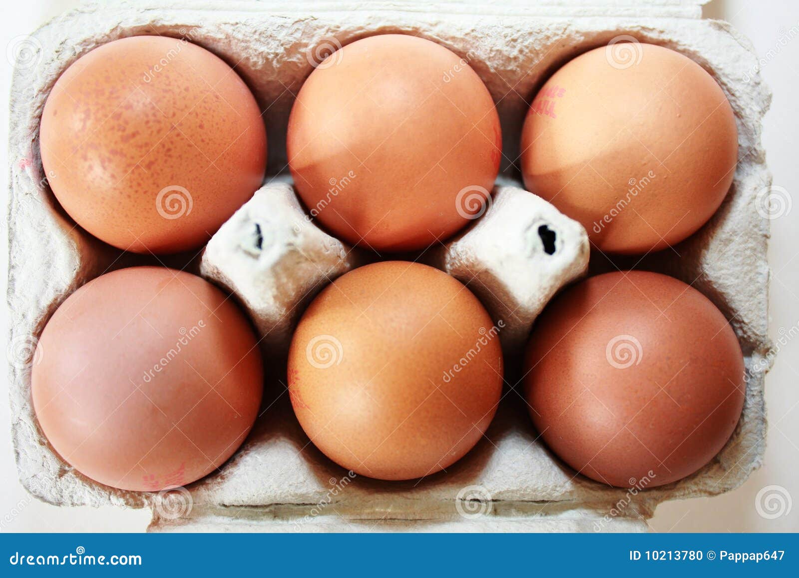 Half dozen eggs in box stock photo. Image of dozen, nutritious 10213780