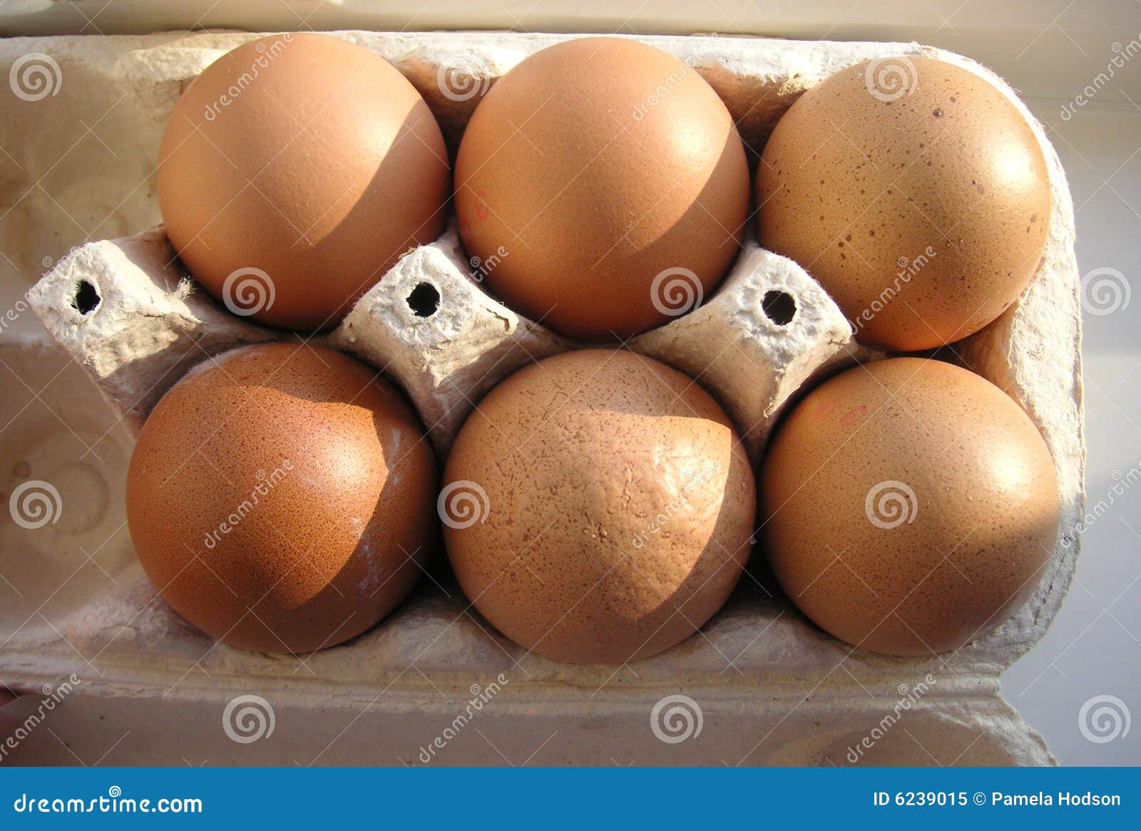 Half a dozen eggs in a box stock image. Image of chicken 6239015