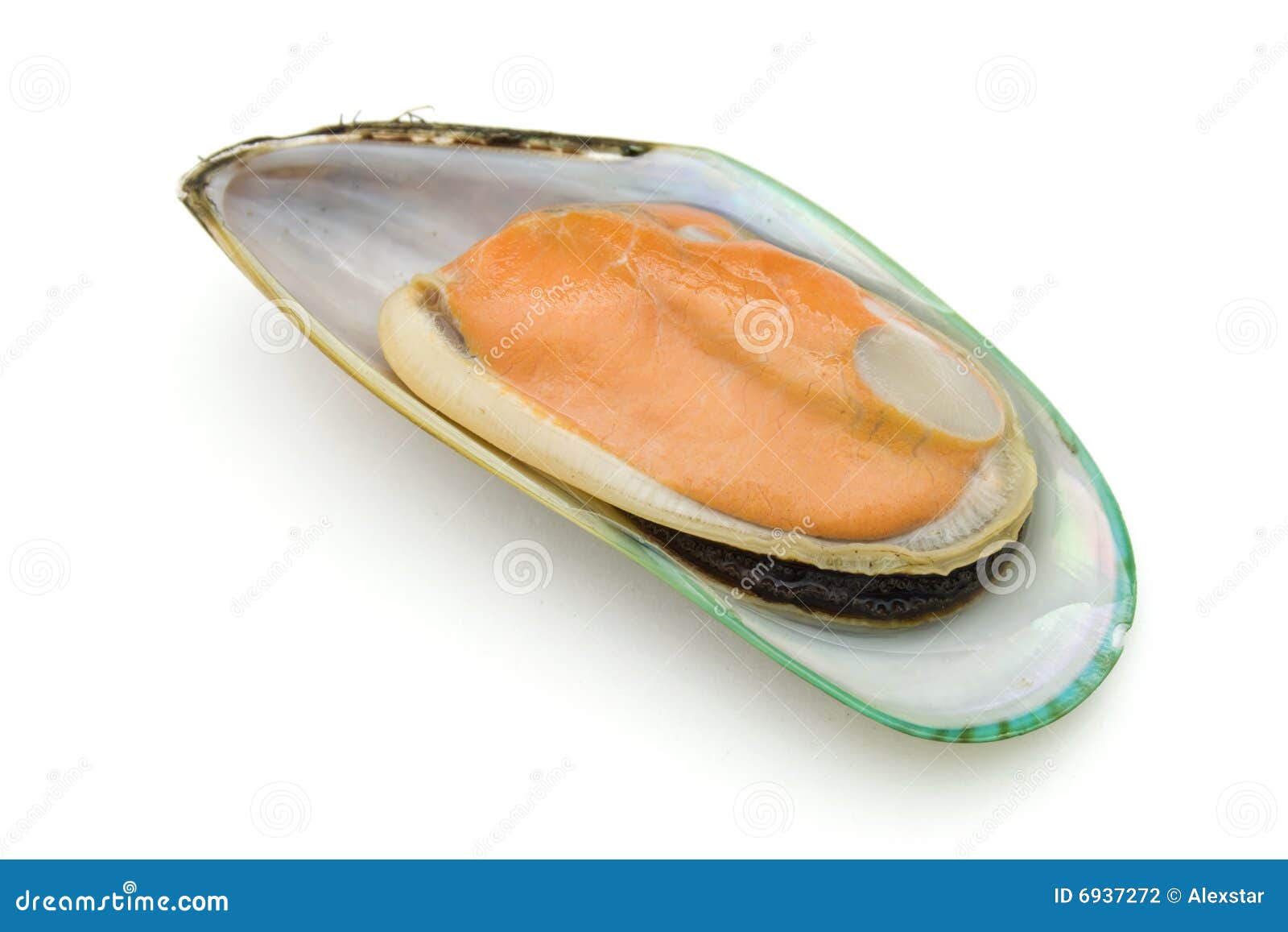 Half of green mussel stock photo. Image of healthy, seafood 6937272