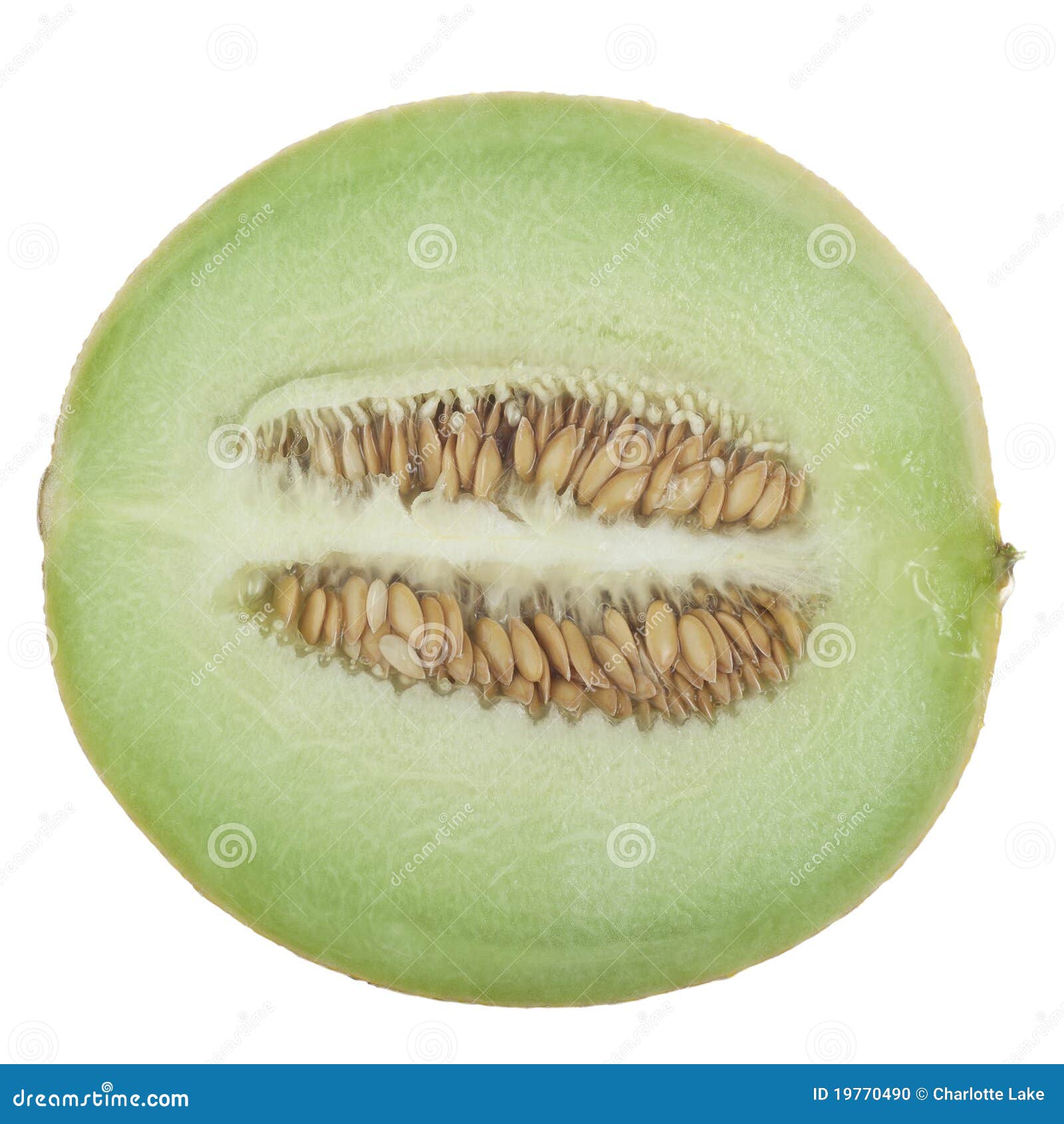 Half a Honeydew stock photo. Image of diet, honeydew 19770490