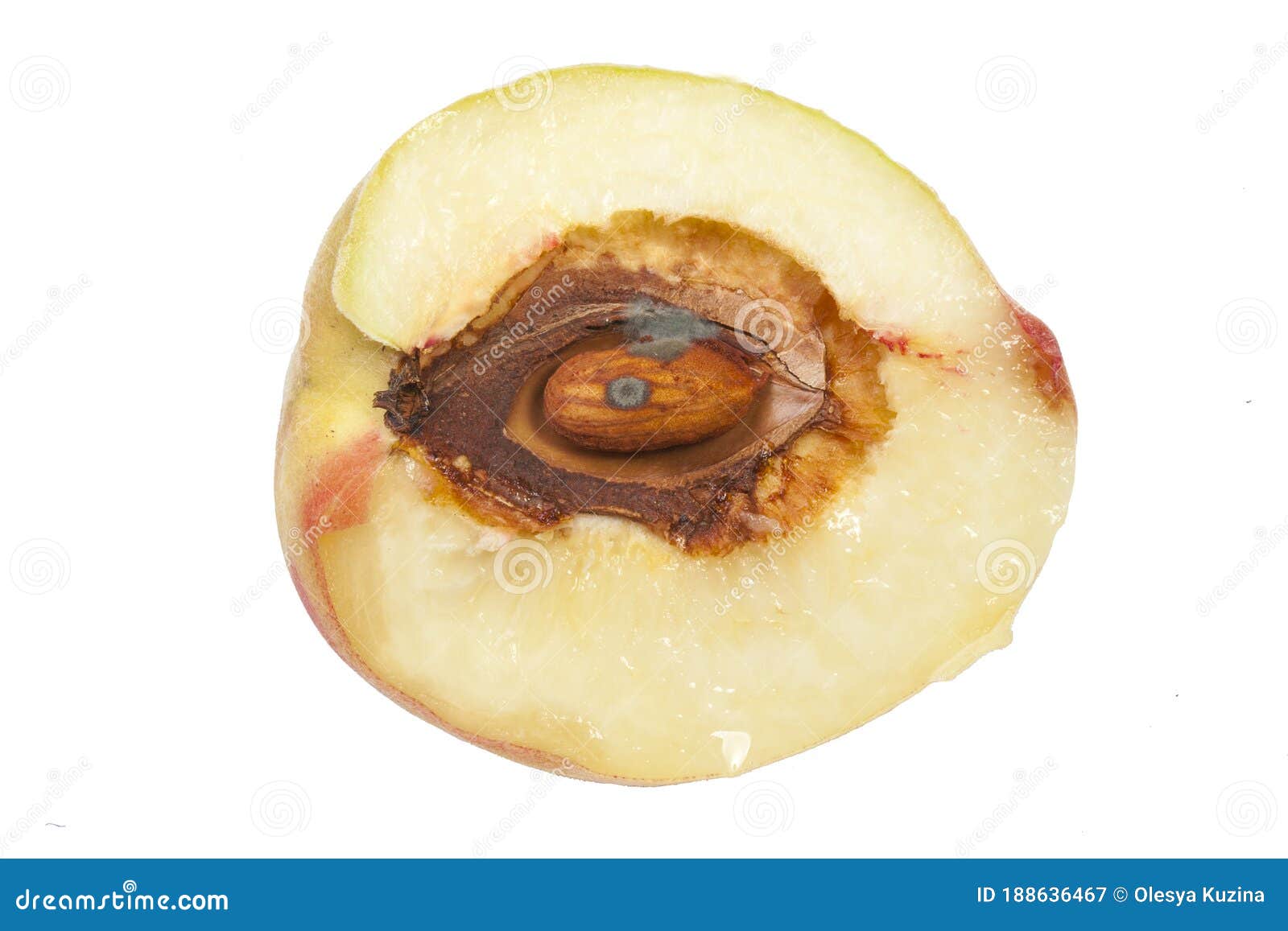 Half Peach with Chopped Bone and Moldy Kernel Stock Image Image of