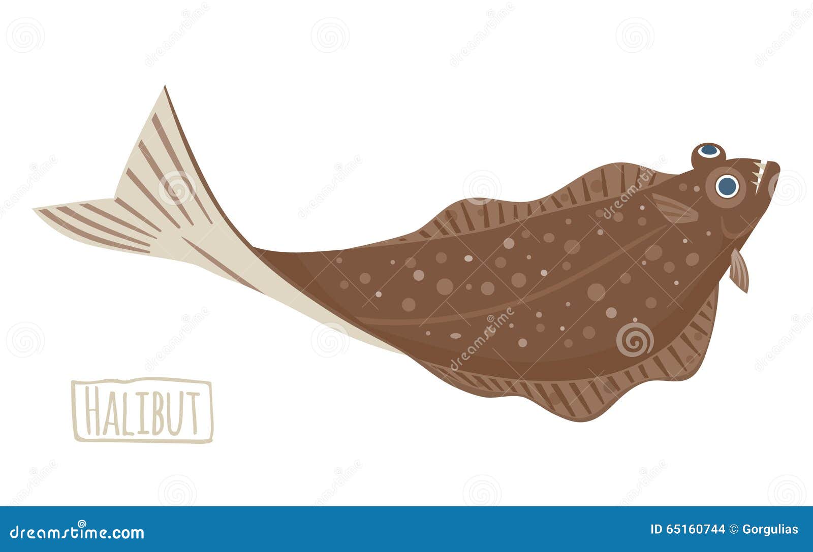 Halibut Vector Illustration, Cartoon Style Stock Vector Illustration