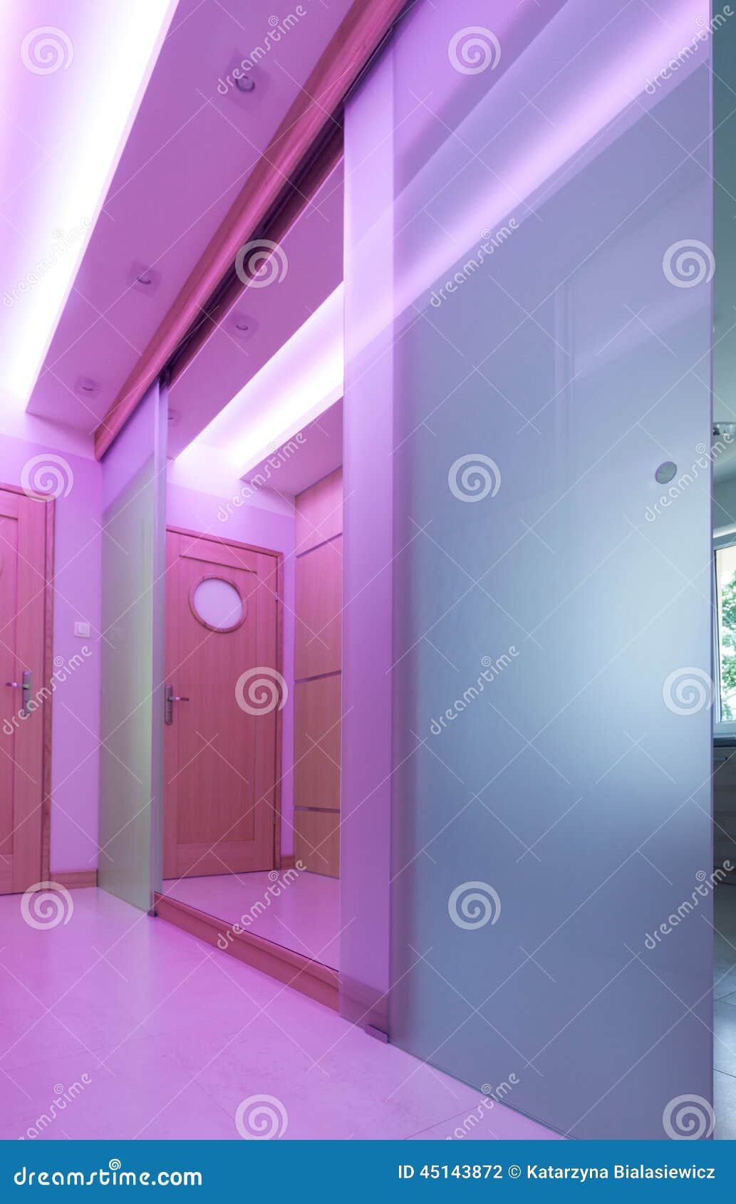 Hall with glass door stock photo. Image of architecture 45143872