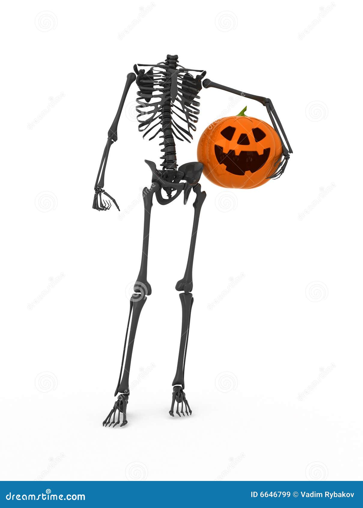 skeleton orange