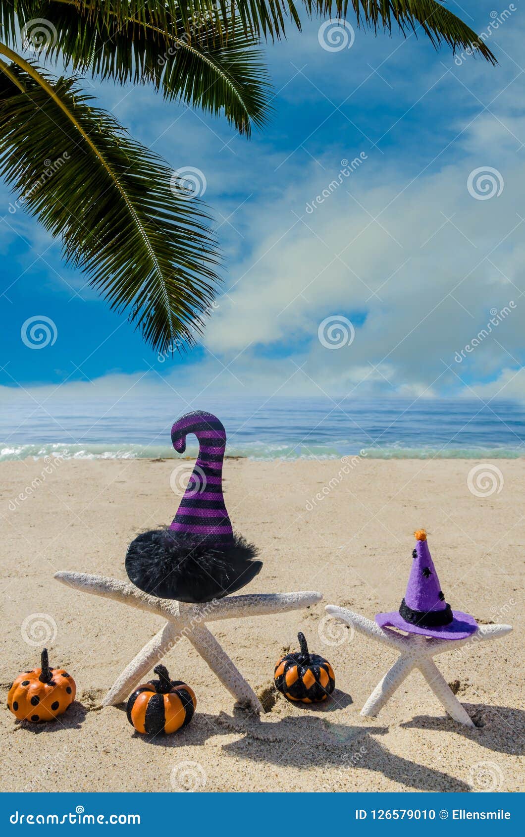 Halloween Background on the Beach with Starfishes in Witch`s Hat Stock ...