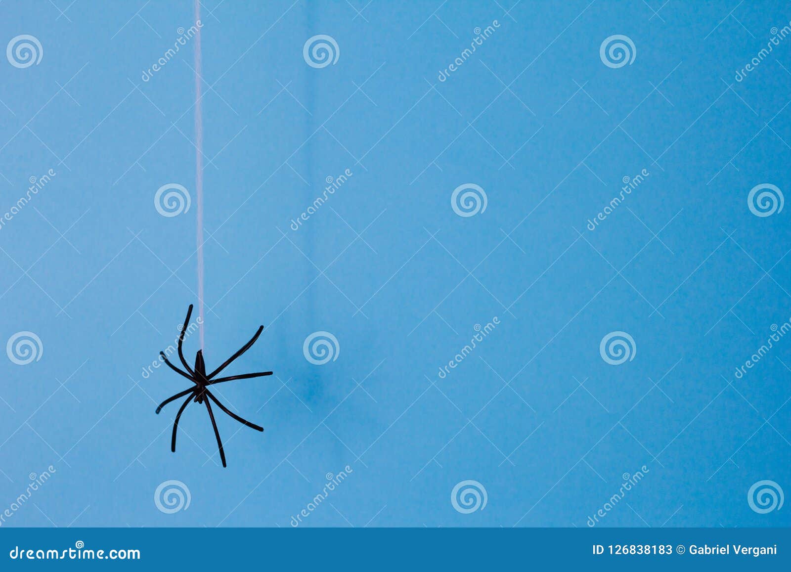 download spider download spider