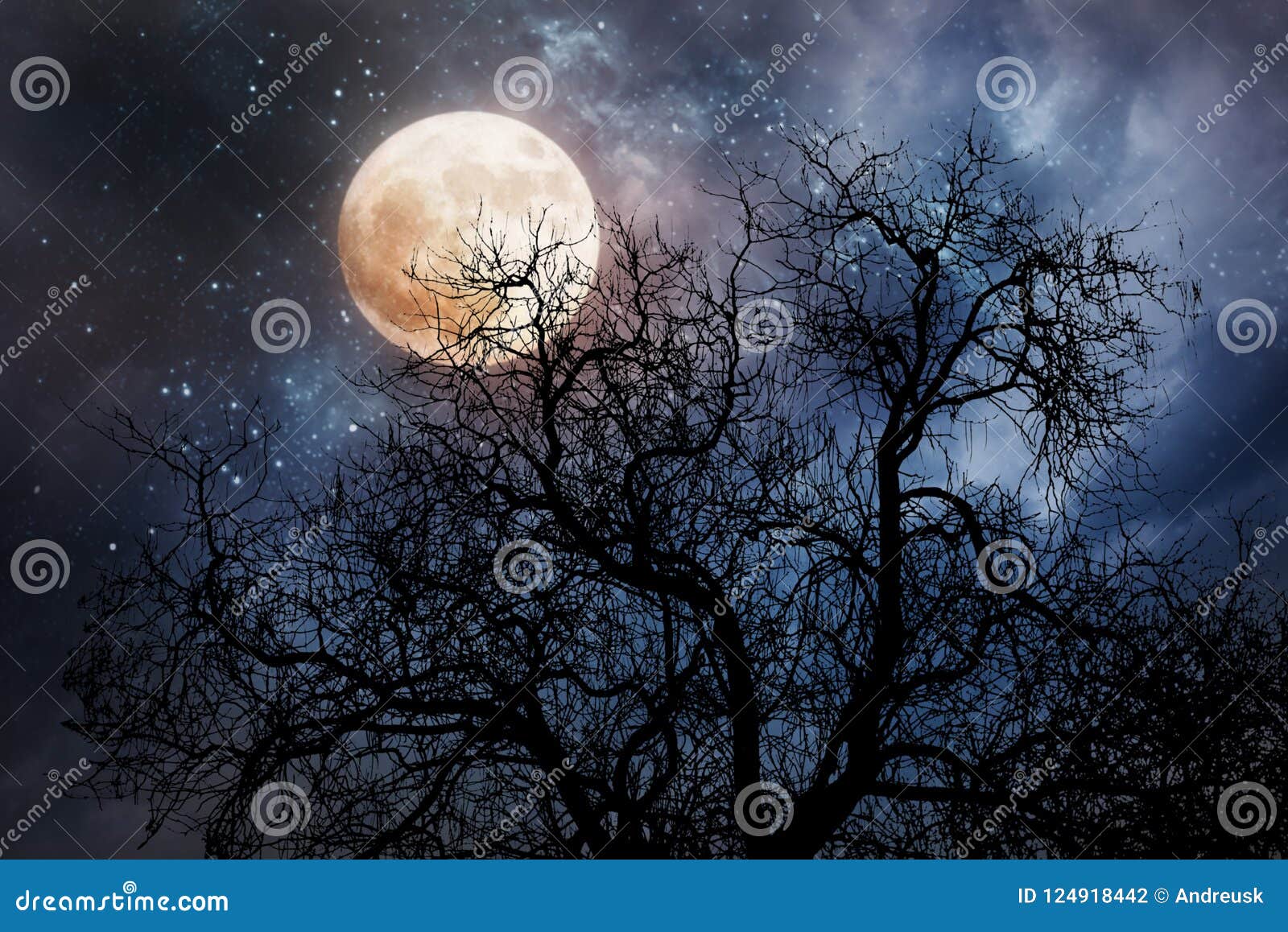 164,656 Background Moon Stock Photos - Free & Royalty-Free Stock Photos  from Dreamstime