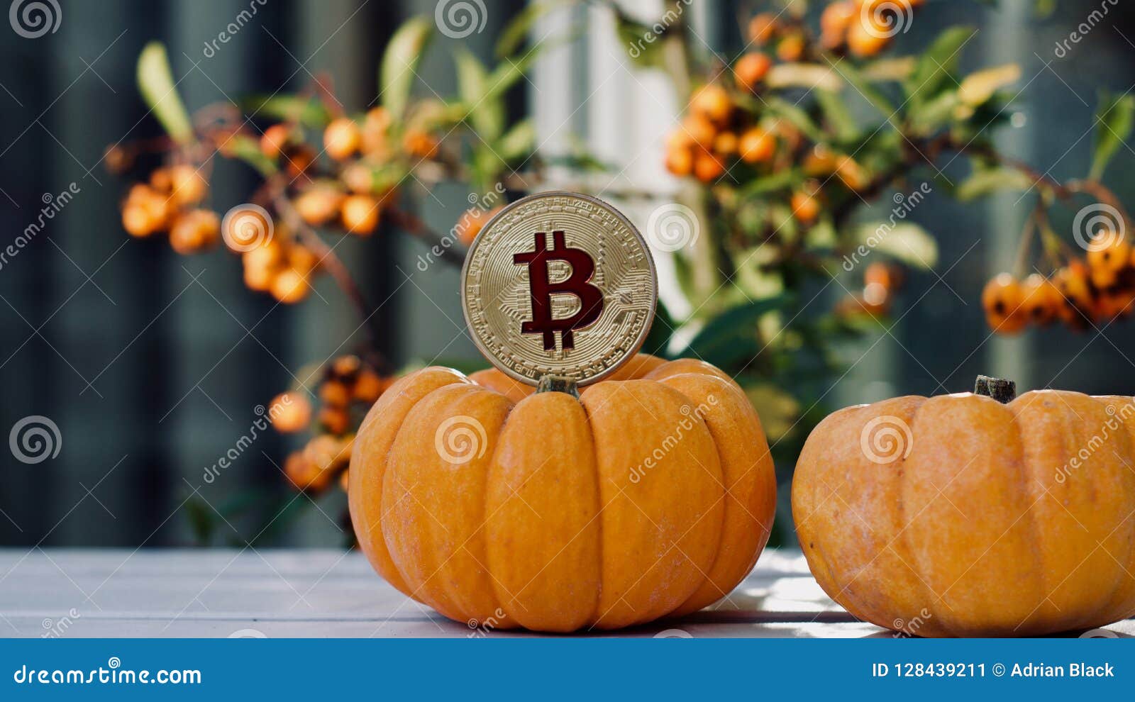bitcoins to dollars history of halloween