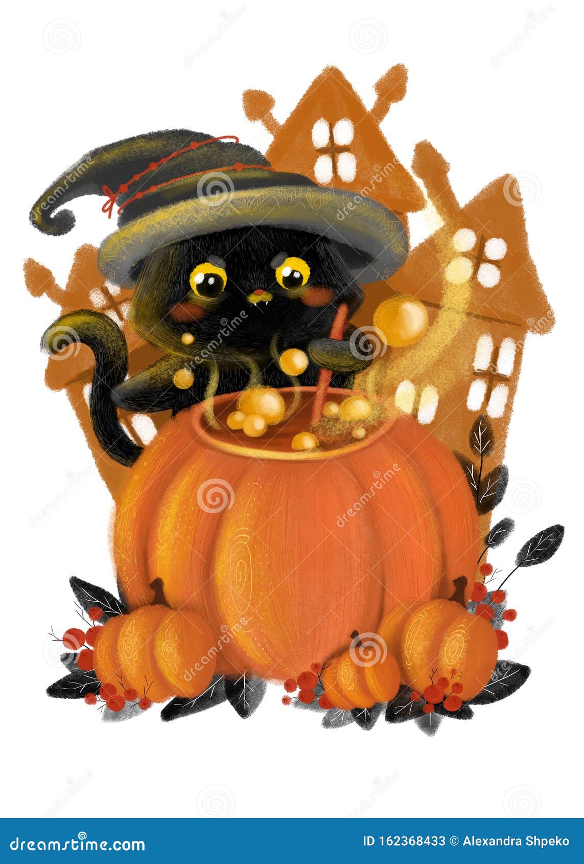 Citrouille halloween chat
