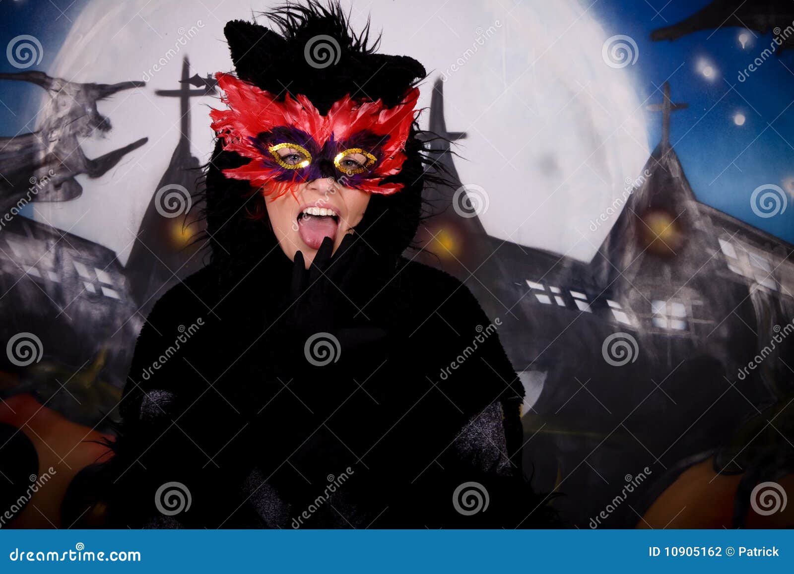 Halloween character cat stock photo. Image of female - 10905162