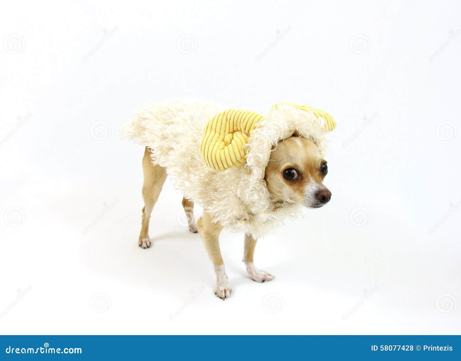 1,643 Sheep Costume Stock Photos - Free & Royalty-Free Stock Photos from Dreamstime