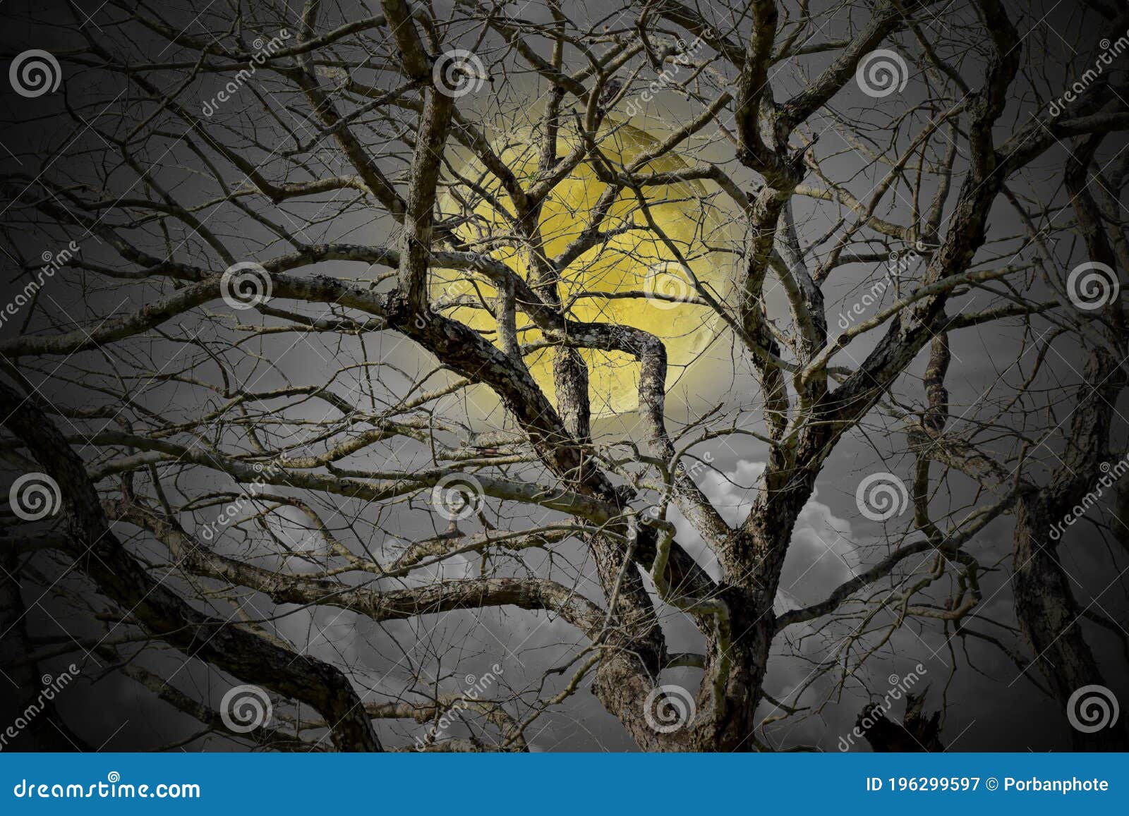 Halloween Concept: Spooky Forest with Full Moon and Dead Trees, Dark Horror  Background Stock Image - Image of glow, halloween: 196299597