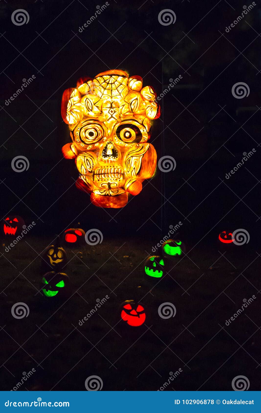 Halloween Day Of The Dead Carved Skull Pumpkin Editorial Stock