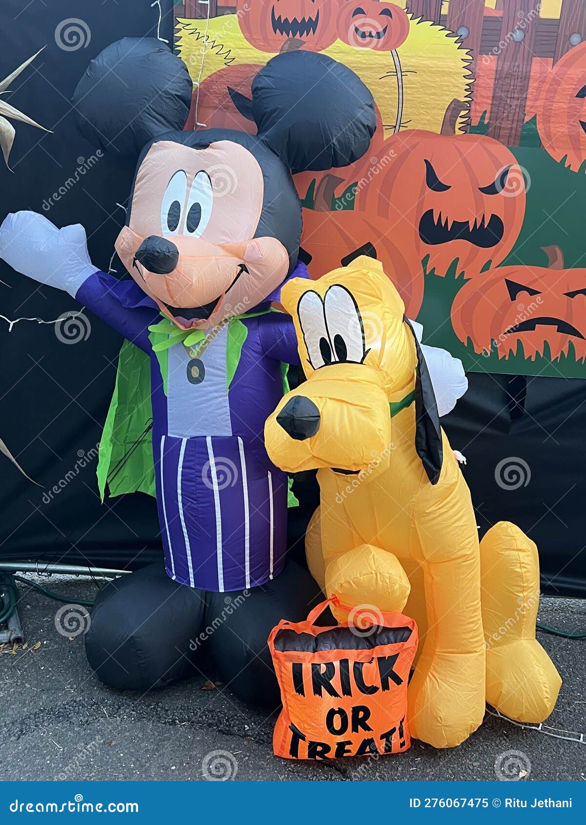 Halloween Decor at the Stew Leonards Grocery Store in Norwalk ...