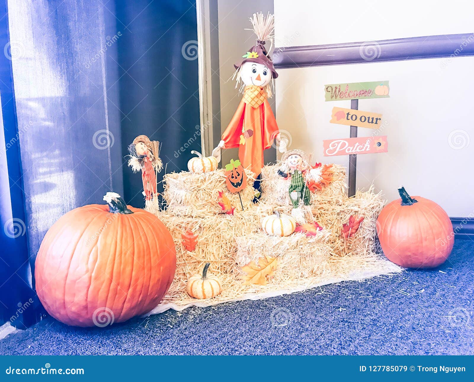 Wetland Helm roman Halloween-decoratie Op Kantoor in Texas, Amerika Stock Afbeelding - Image  of zaken, gelukkig: 127785079