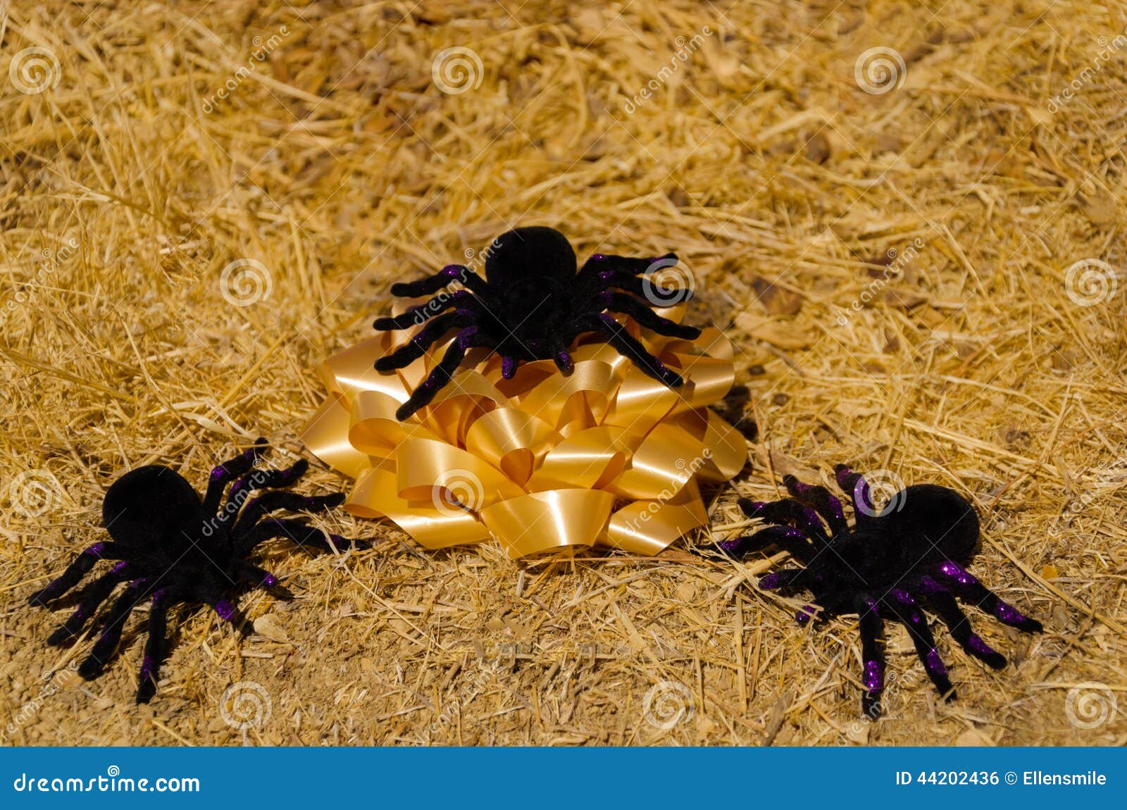 Halloween Decoration on the Grass Stock Photo Image of symbol