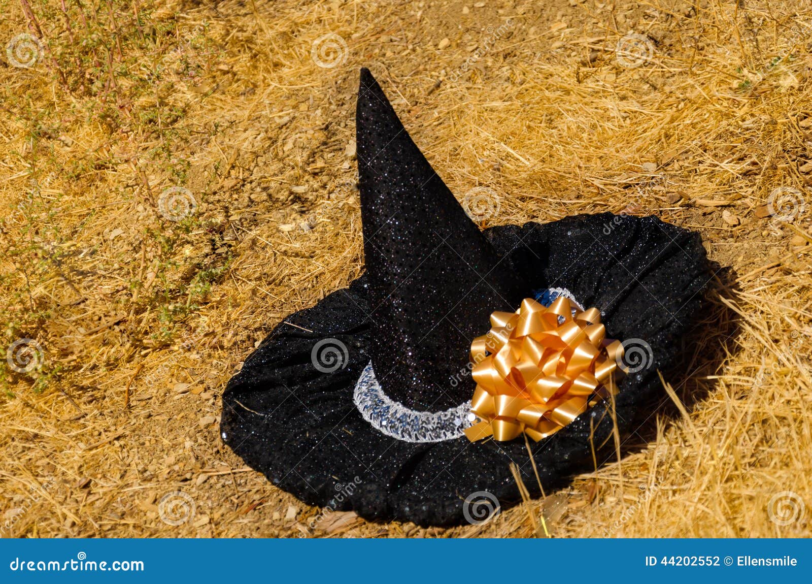 Halloween Decoration on the Grass Stock Photo Image of card, laughing