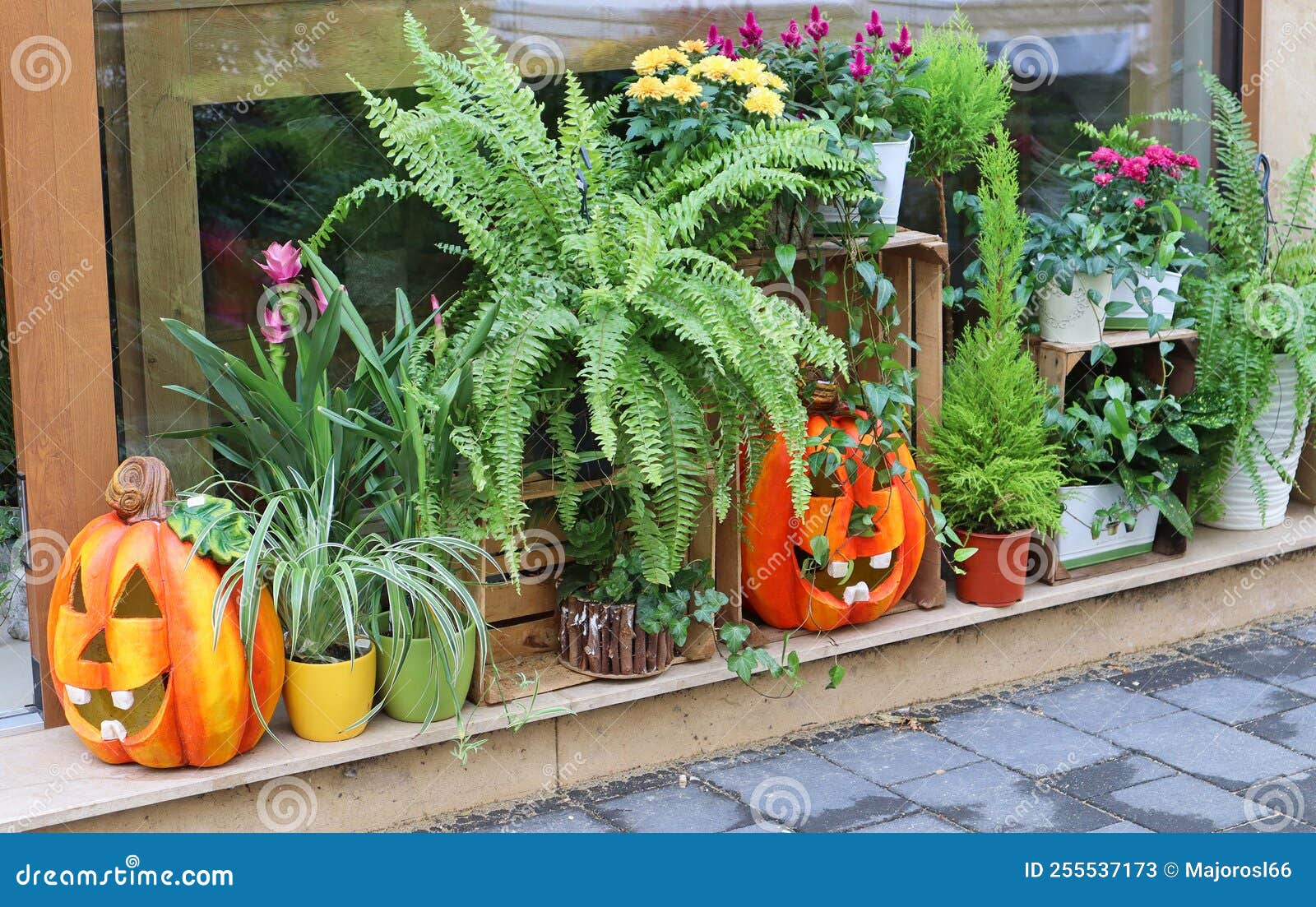 Halloween Decoration on the Street Stock Image Image of people