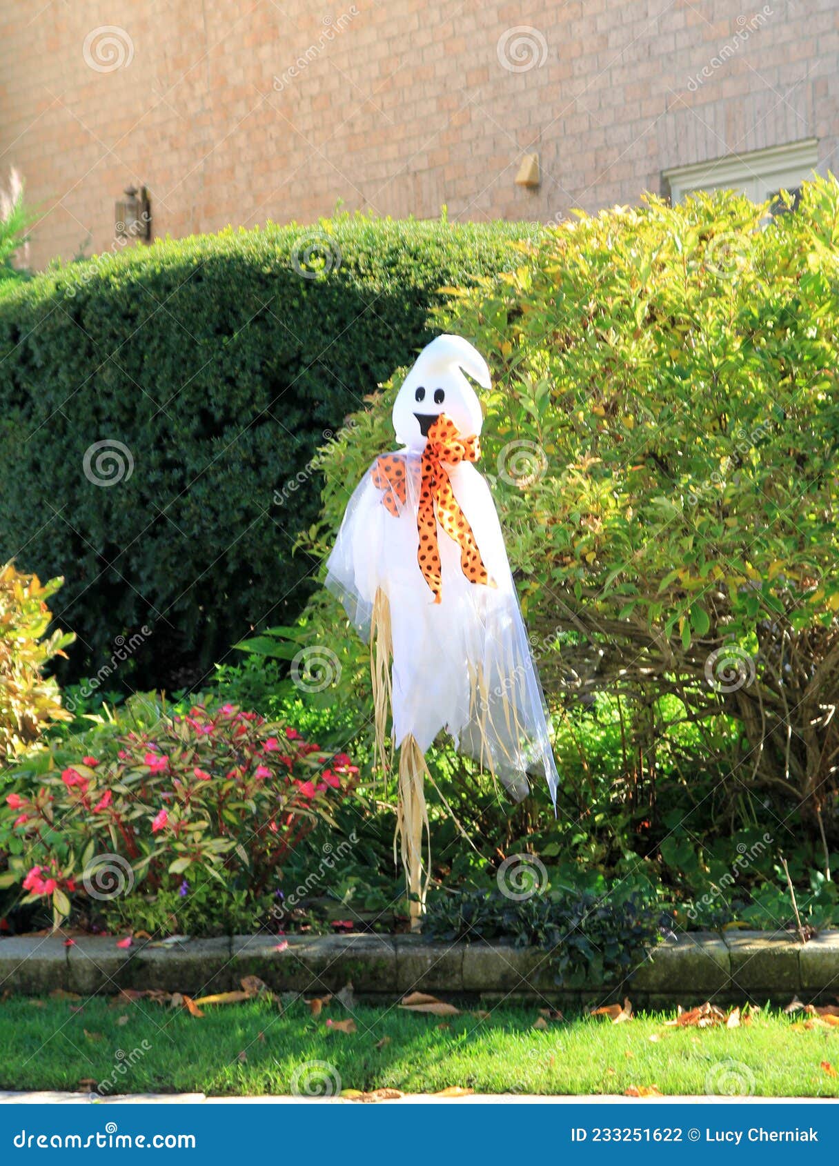 Halloween Decorations stock photo. Image of decorations 233251622
