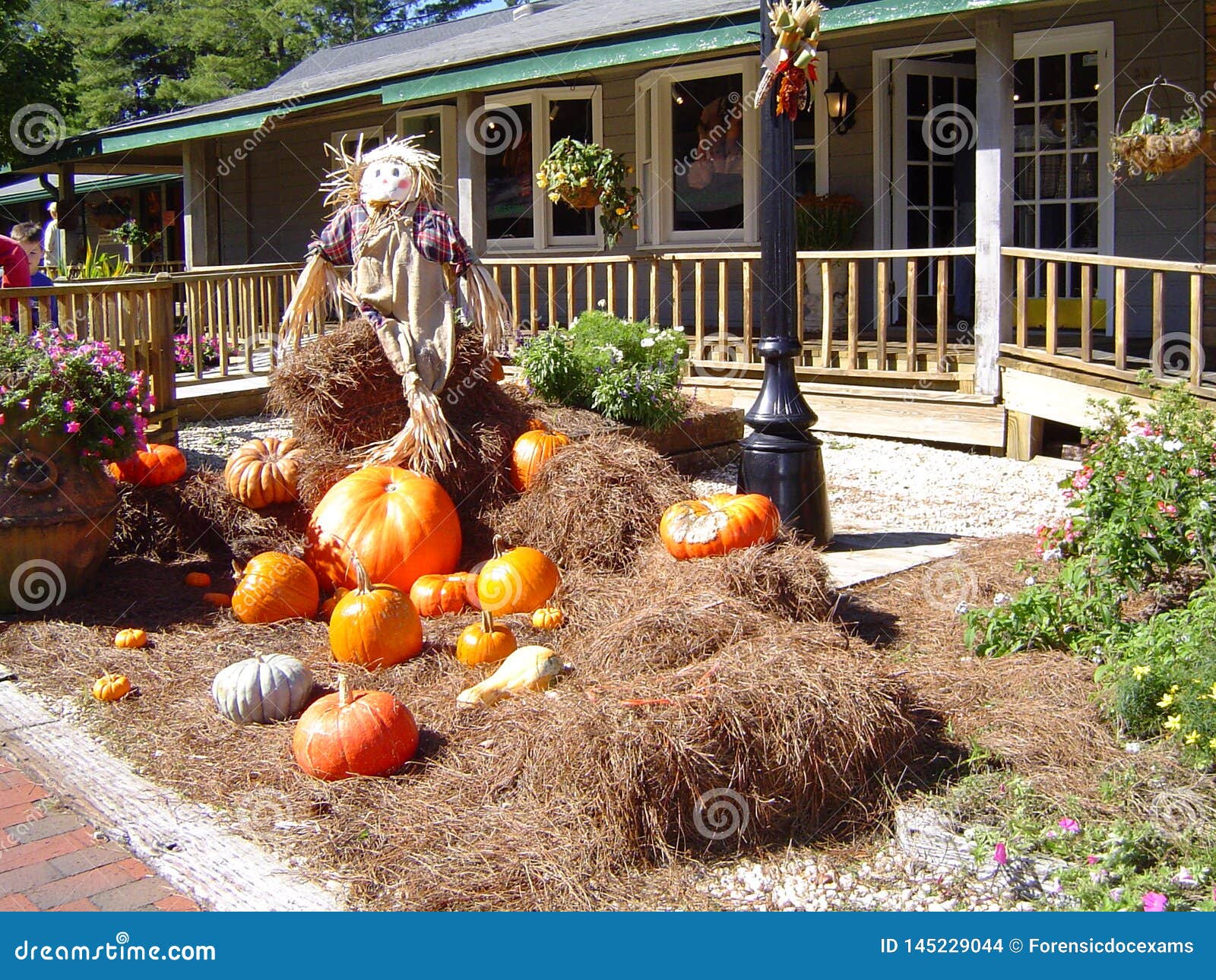 Cách trang trí làng Halloween có sẵn nào phổ biến nhất trên Google?